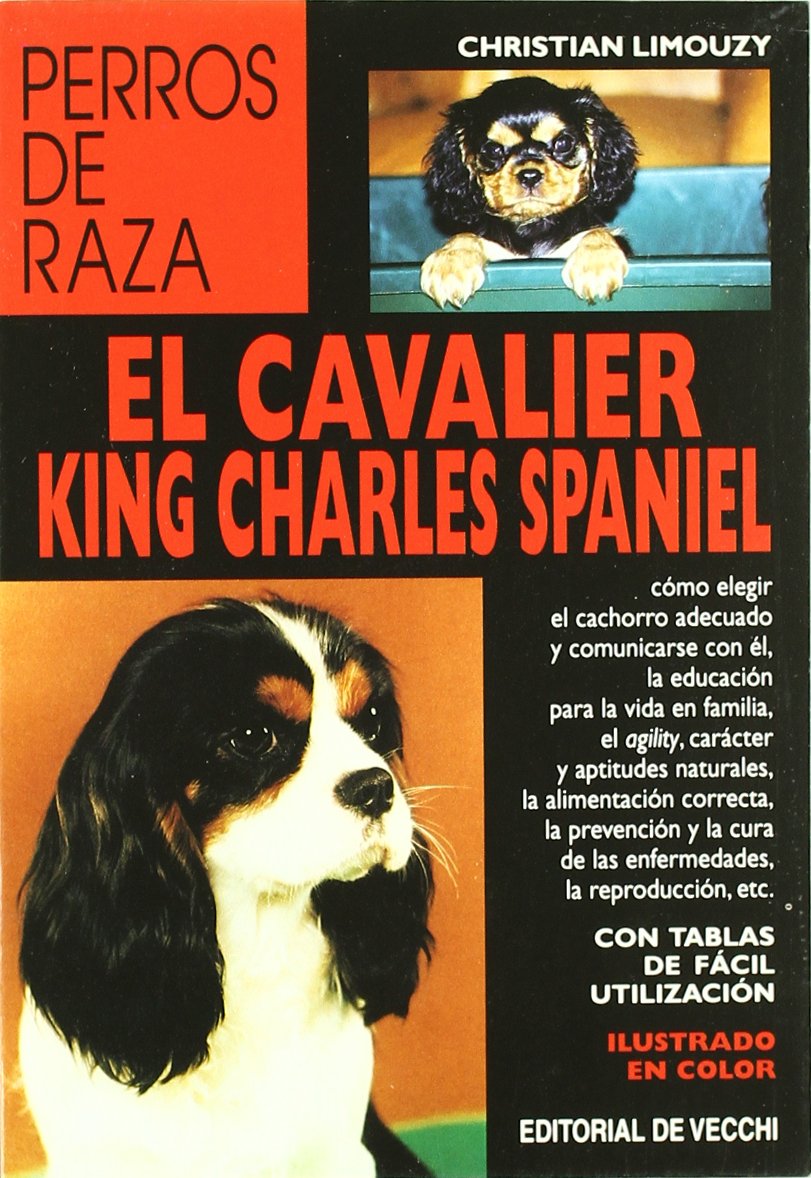 El cavalier king charles spaniel (Animales) Business & Technology