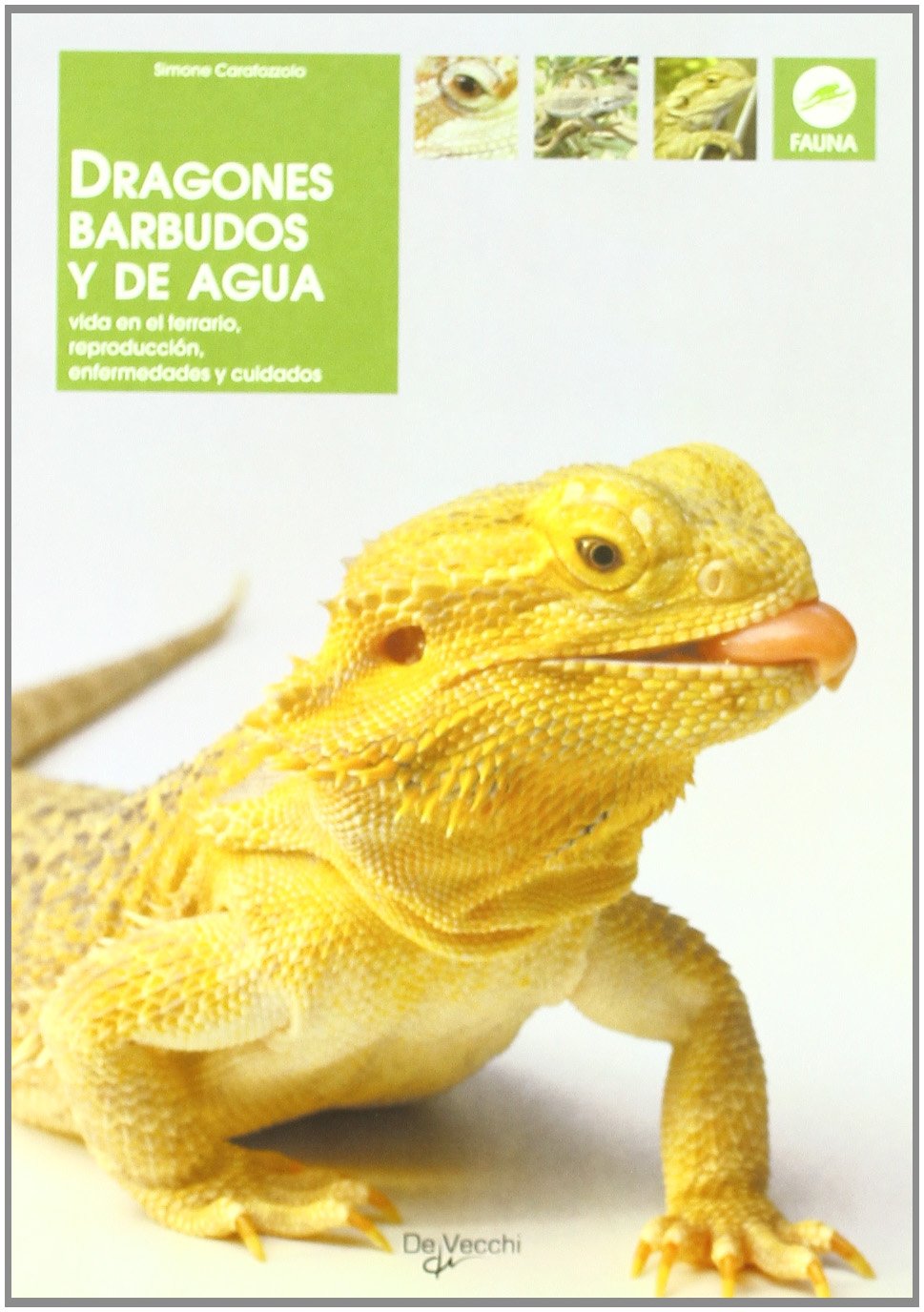 Dragones barbudos y de agua (Animales) Medicine