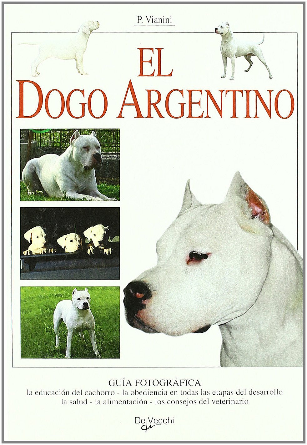 Vianini, P: Dogo argentino Pets