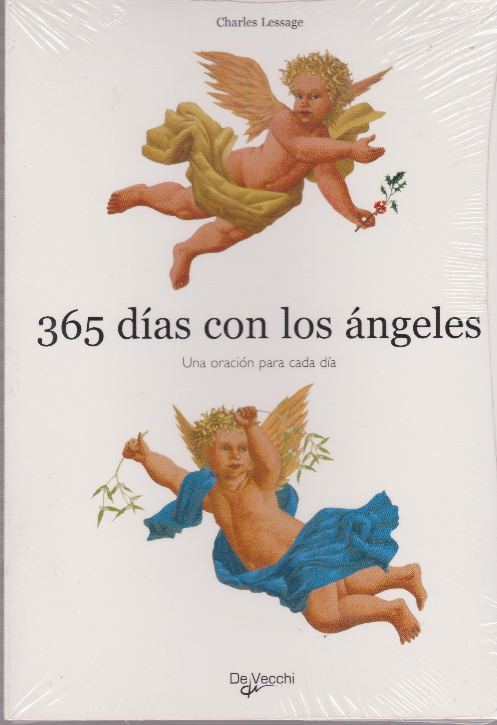 365 días con los ángeles book