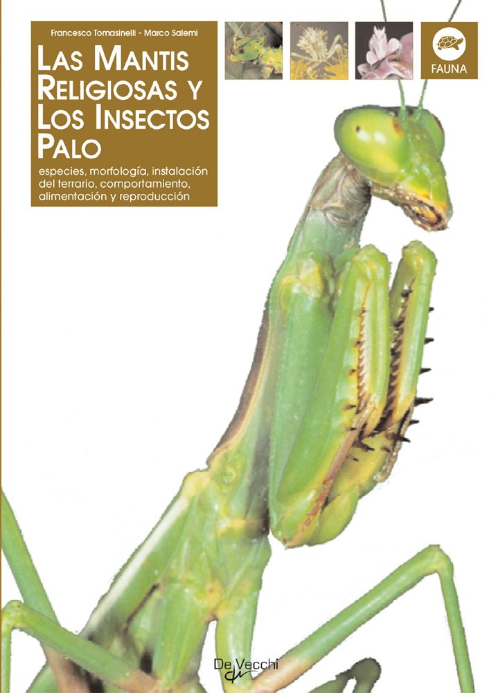 La mantis religiosa y los insectos palo (Animales) Medicine
