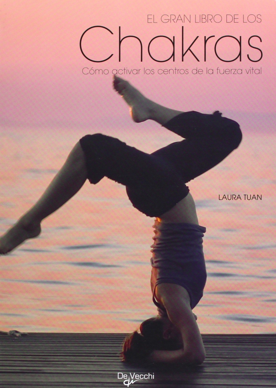 El gran libro de los chakras (Salud) Social Sciences