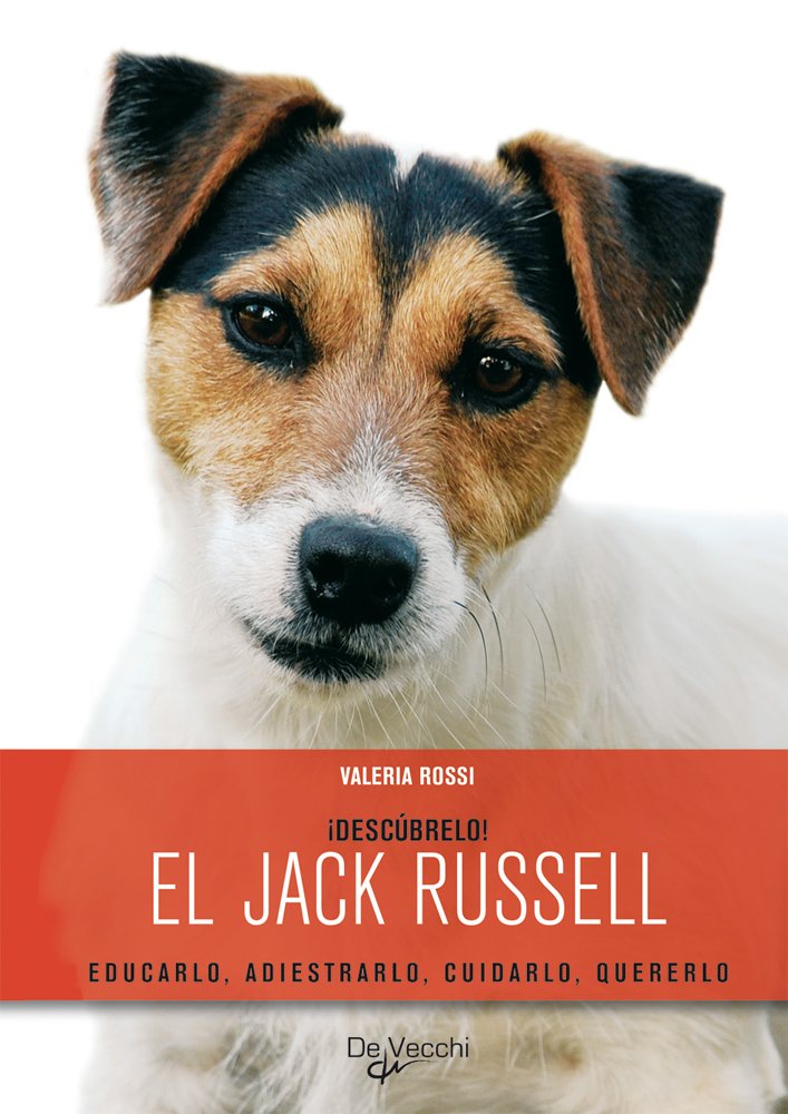 El jack russell, descubrelo! book