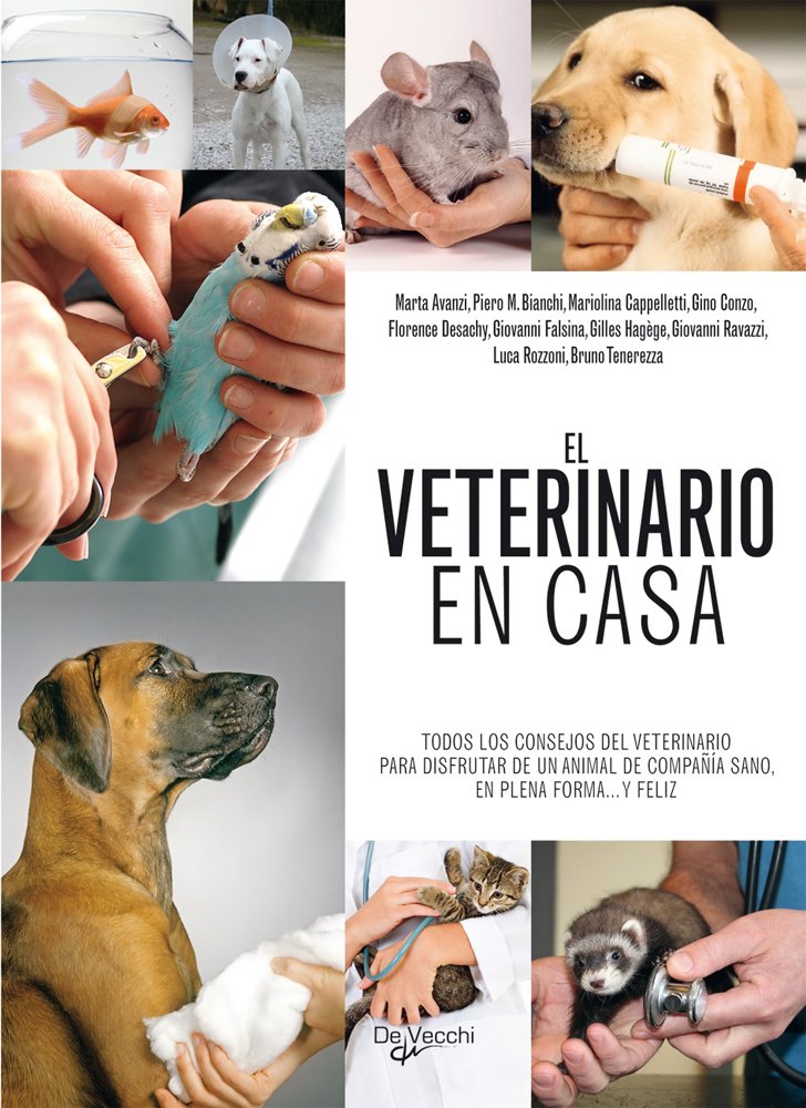 Desachy, F: Veterinario en casa Business & Technology