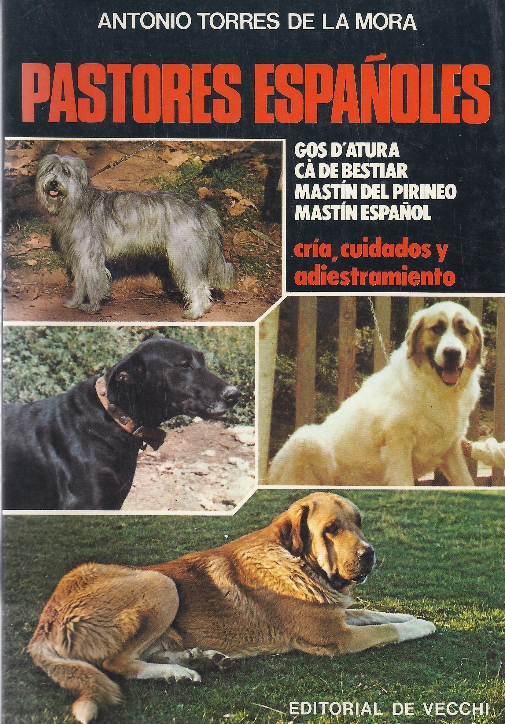 Pastores Espanoles Books