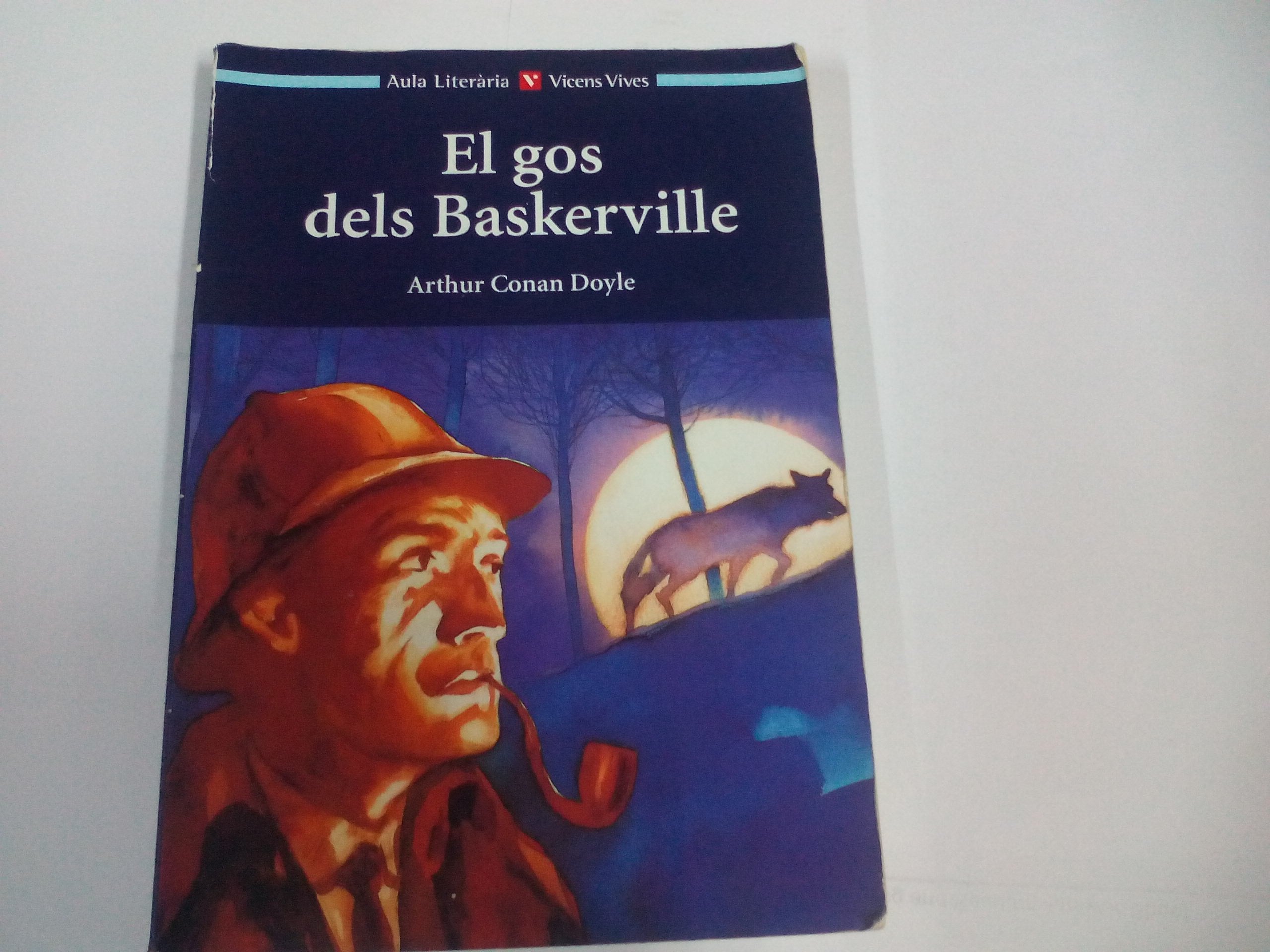 El gos dels Baskerville, Bachillerato. Material auxiliar (Aula Literària) Books
