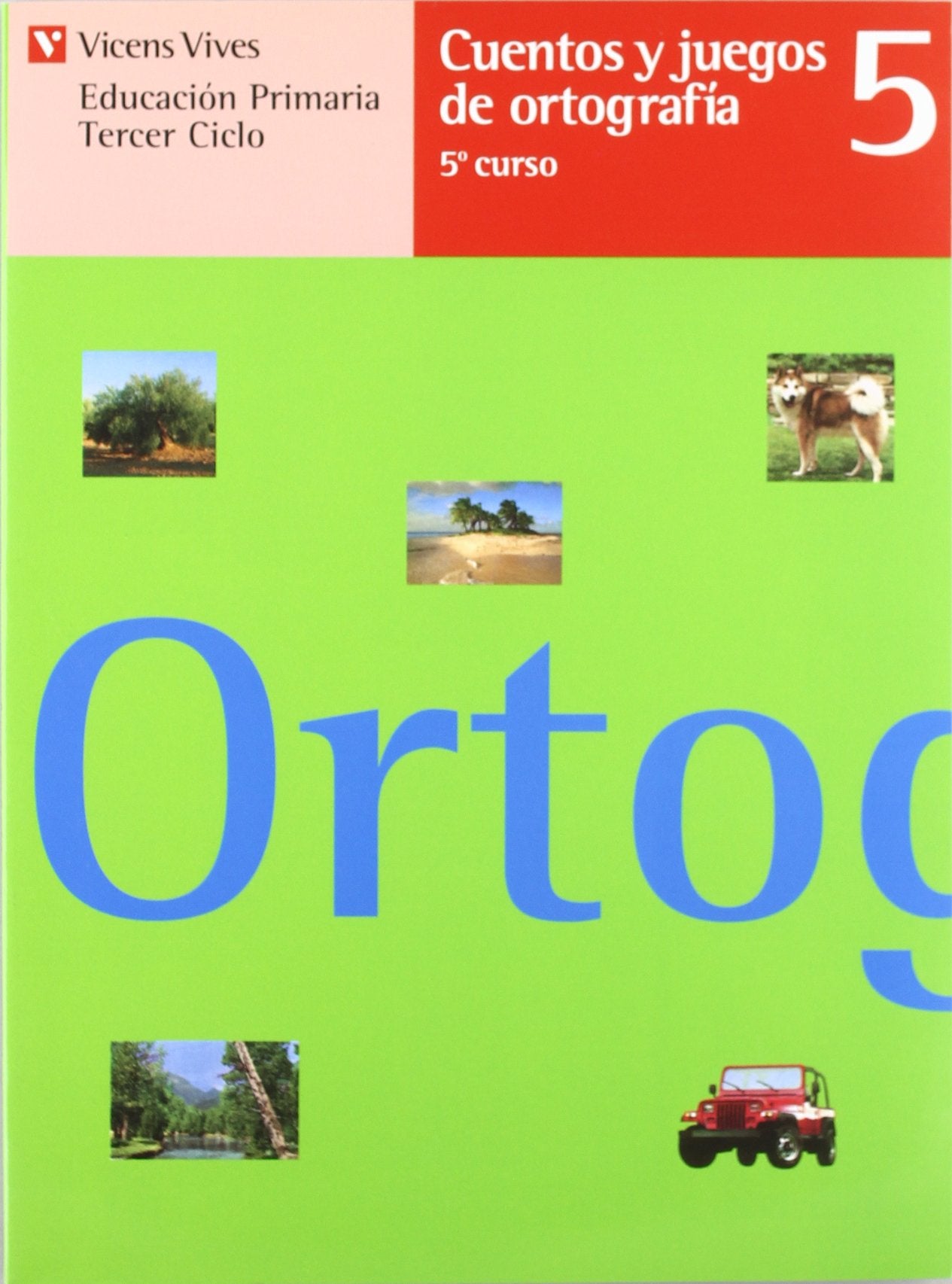 Cuentos y juegos de ortografía, 5 Educación Primaria, 3 ciclo Books