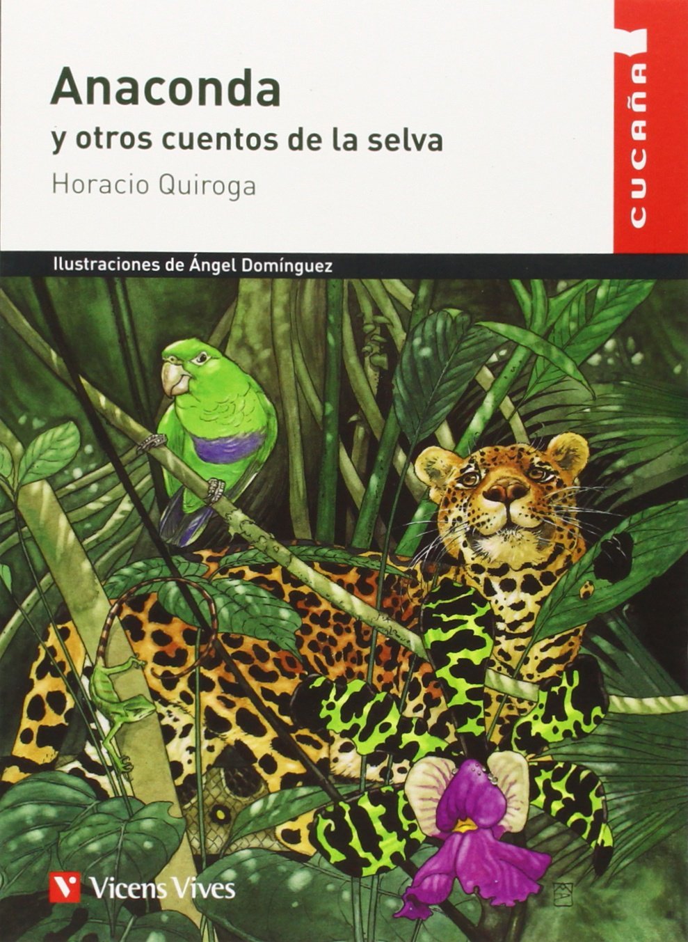 Anaconda y otros cuentos de la selva, Educación Primaria. Material auxiliar (Colección Cucaña) Novels & Short Stories