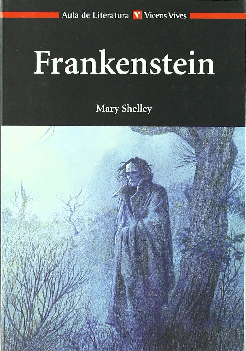 Frankestein: 5 (Aula de Literatura) book
