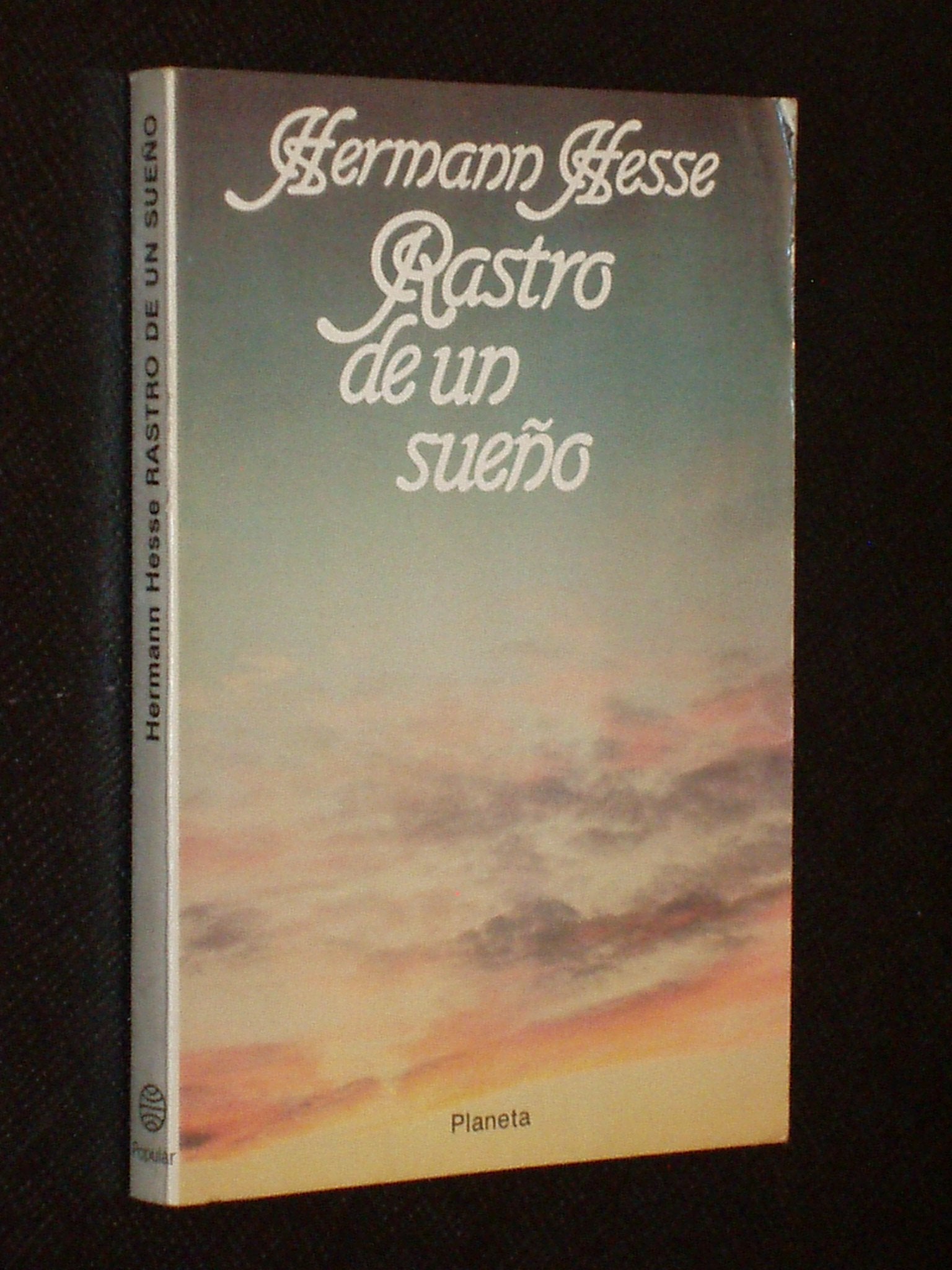 RASTRO DE UN SUEÑO book