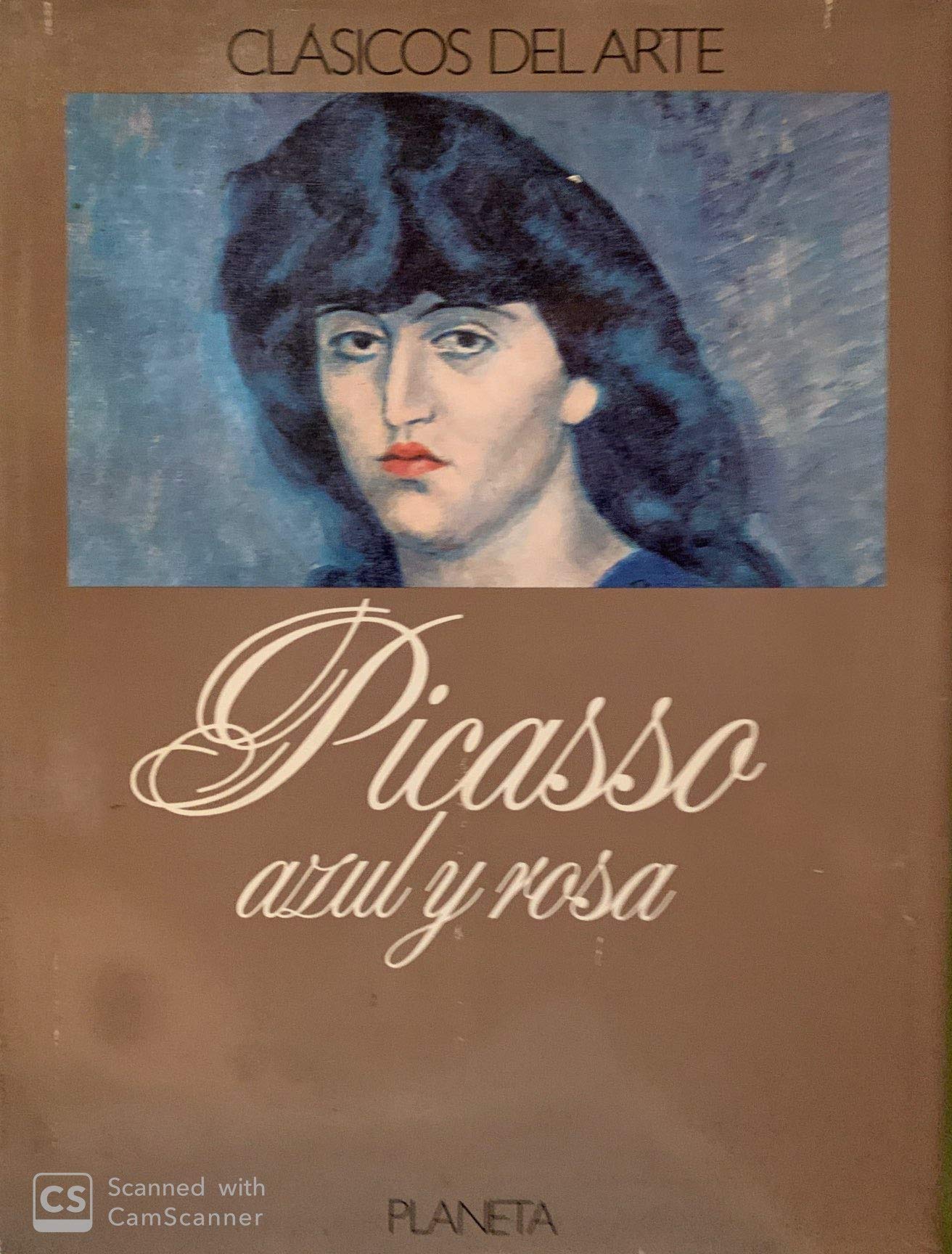 Picasso : azul y Rosa book