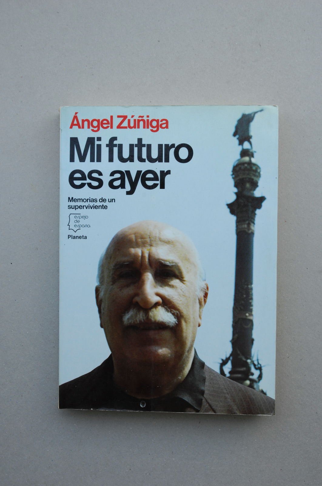 Mi futuro es ayer book