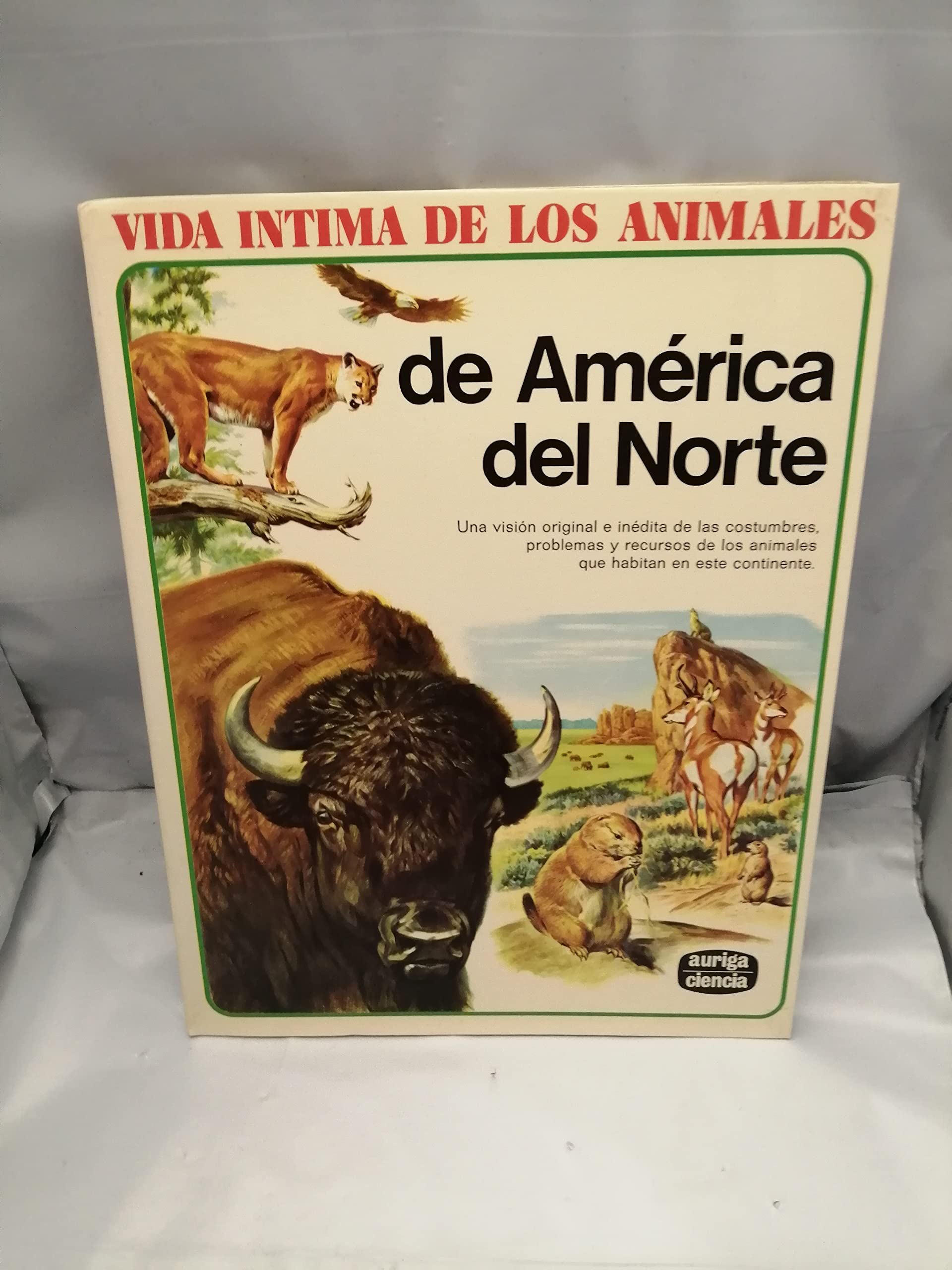 Vida intima de los animales de América del norte Books