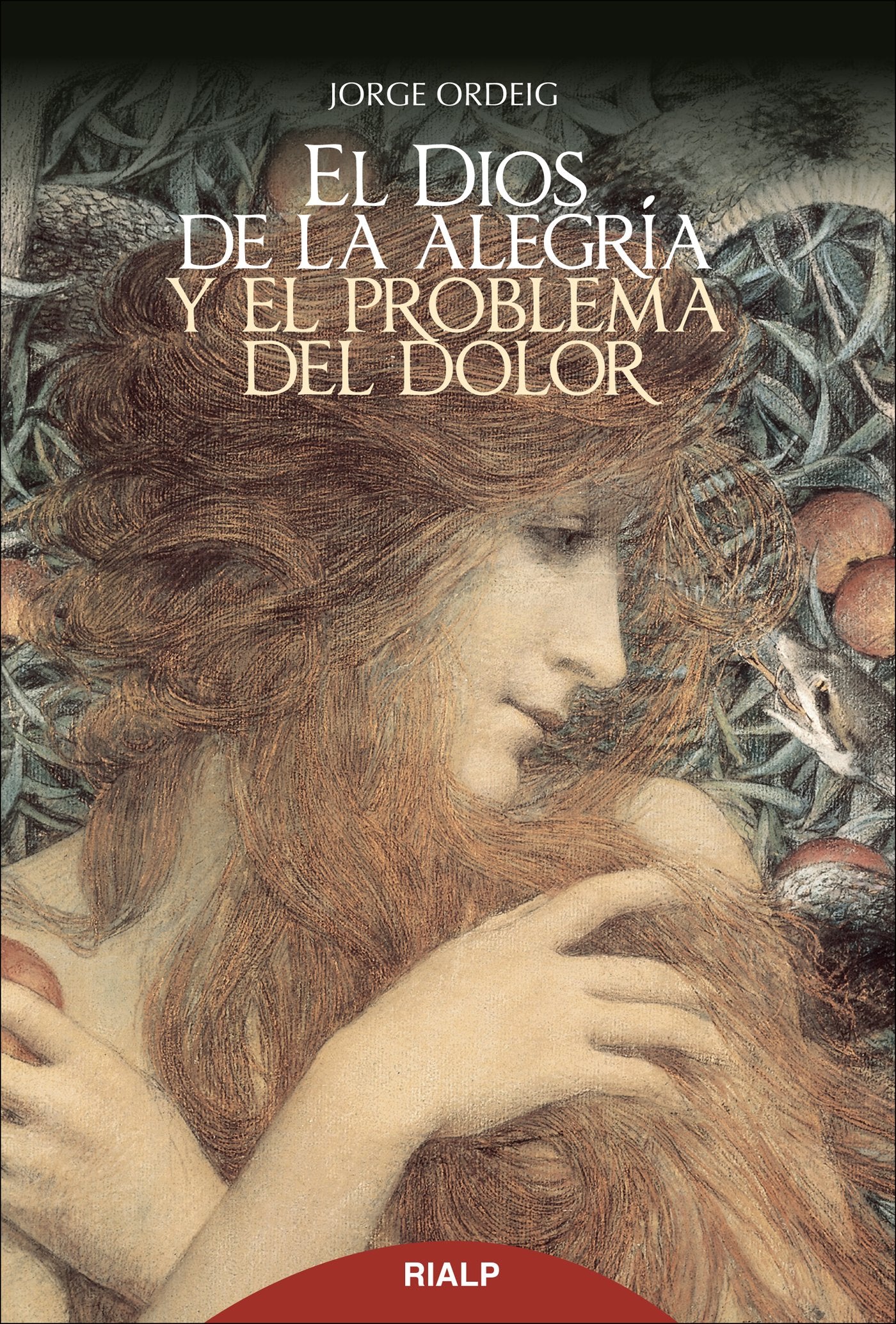El Dios de la alegría y el problema del dolor (Religión. Fuera de Colección) Religion & Esotericism