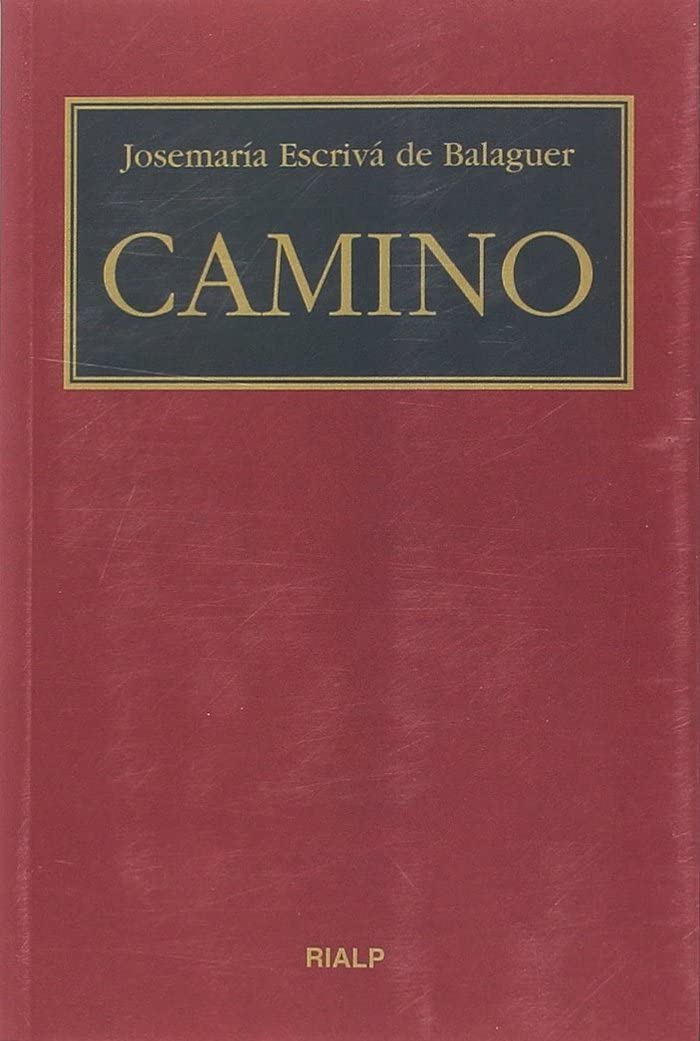 Camino (bolsillo, rústica, color) Books