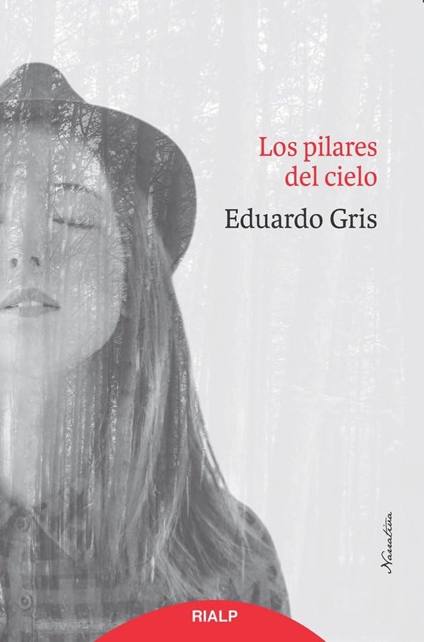 Los pilares del cielo book