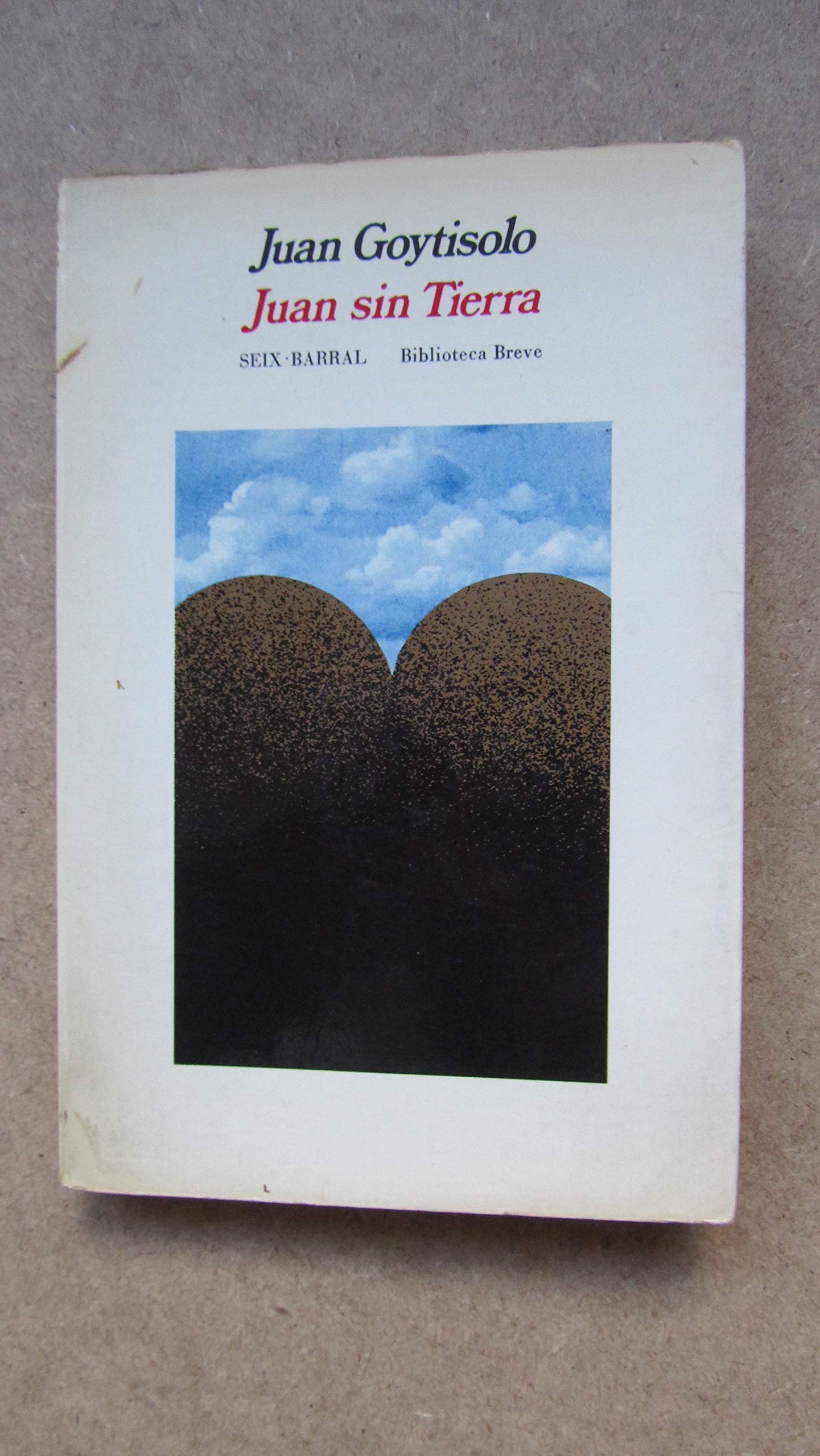 Juan sin tierra book