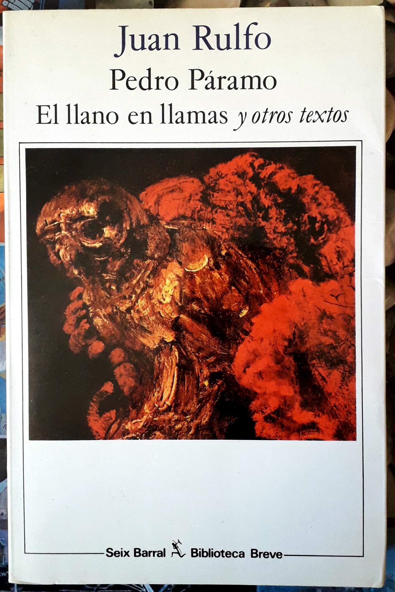 Pedro Páramo y el llano en llamas/ Pedro Páramo and the plain in flames Foreign Languages ​​& Dictionaries