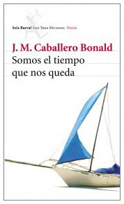 Somos el tiempo que nos queda (COLECCION NUEVO ENSAYO) Contemporary literature