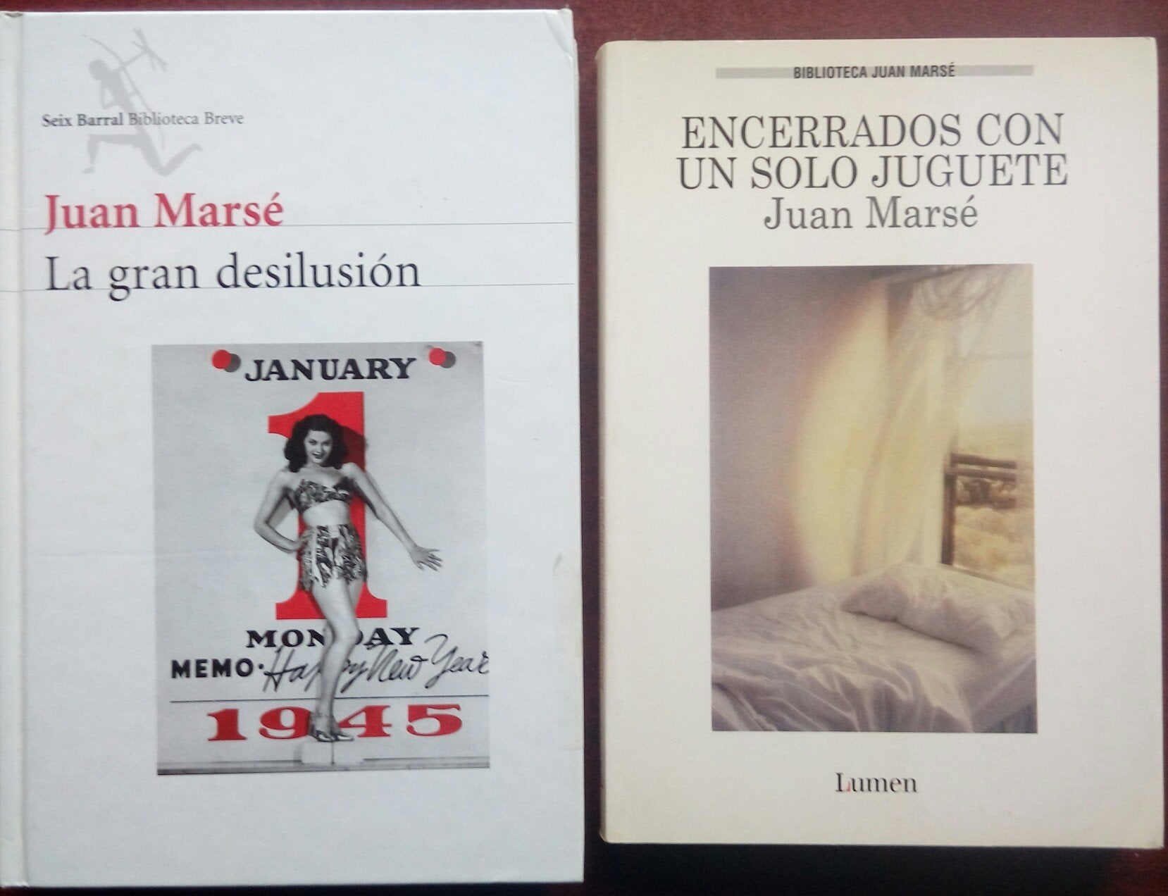 La gran desilusión (Biblioteca Breve) Contemporary literature