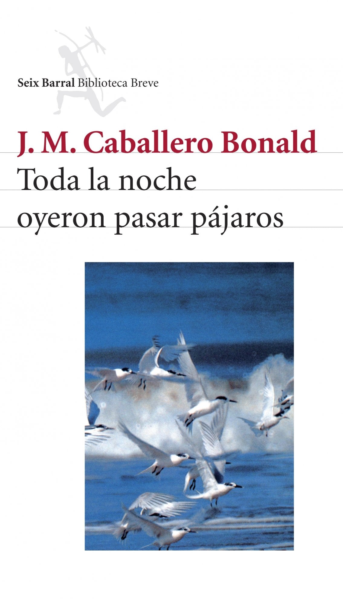 Toda la noche oyeron pasar pájaros Contemporary literature