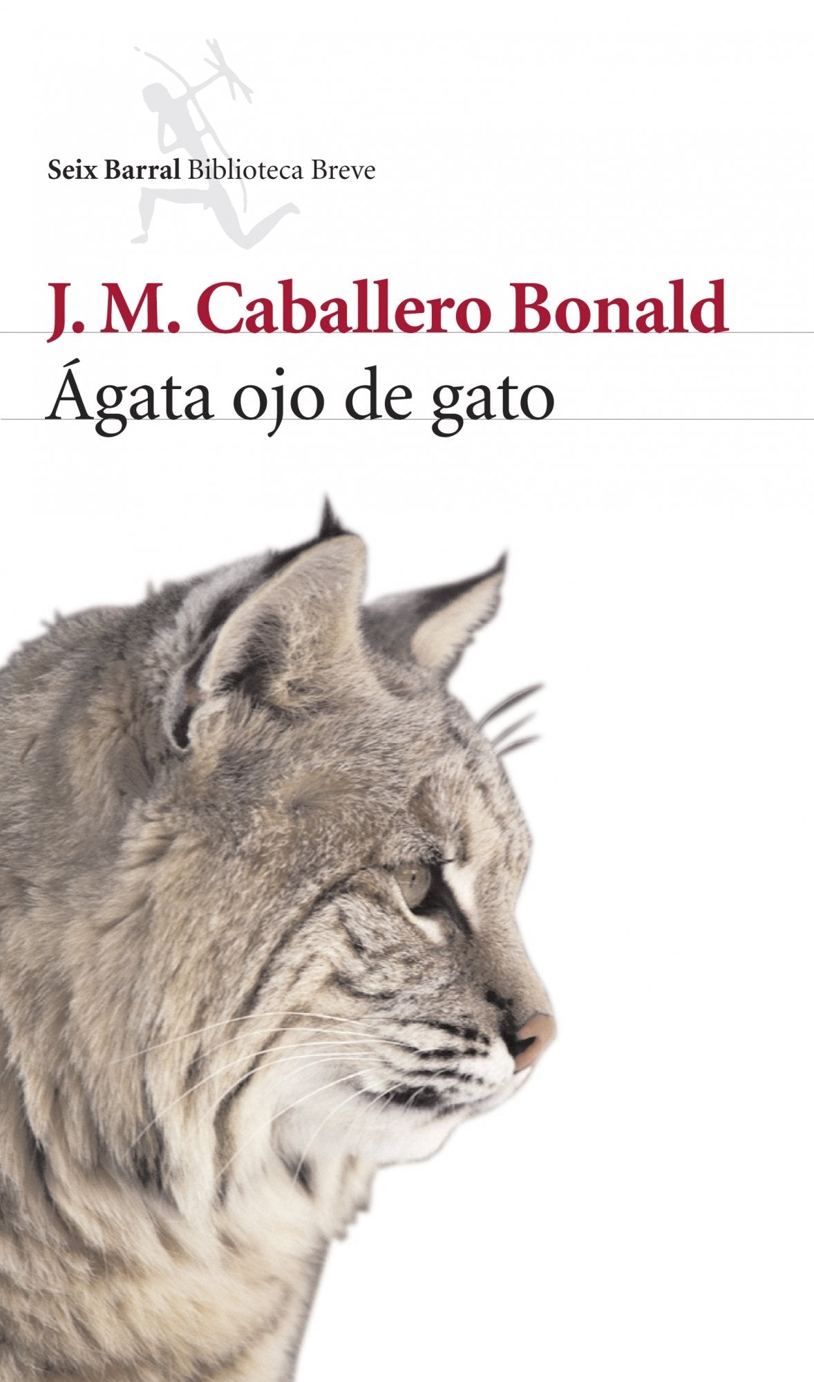 Ágata ojo de gato Contemporary literature