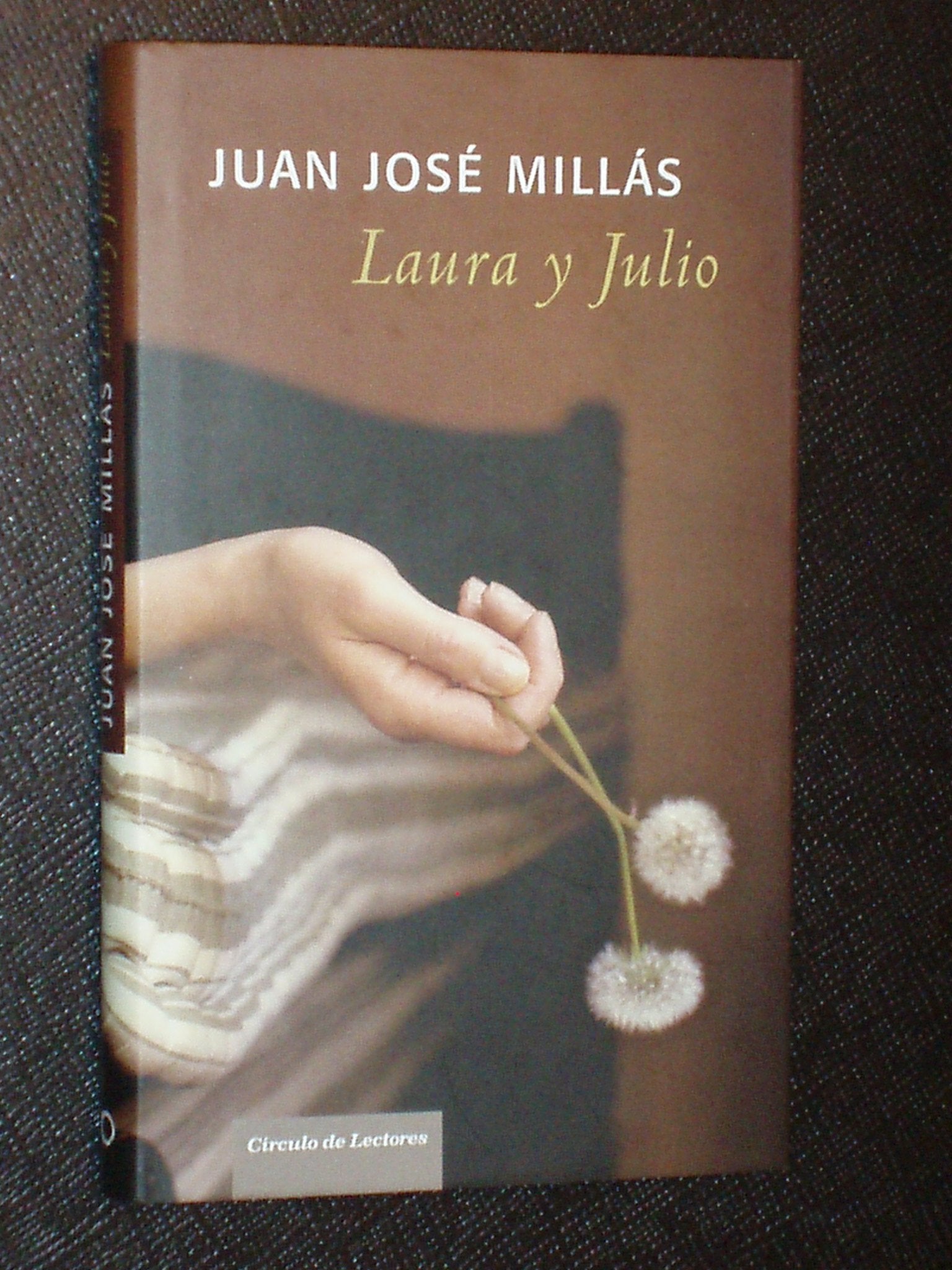 Laura y Julio (Booket Logista) Books