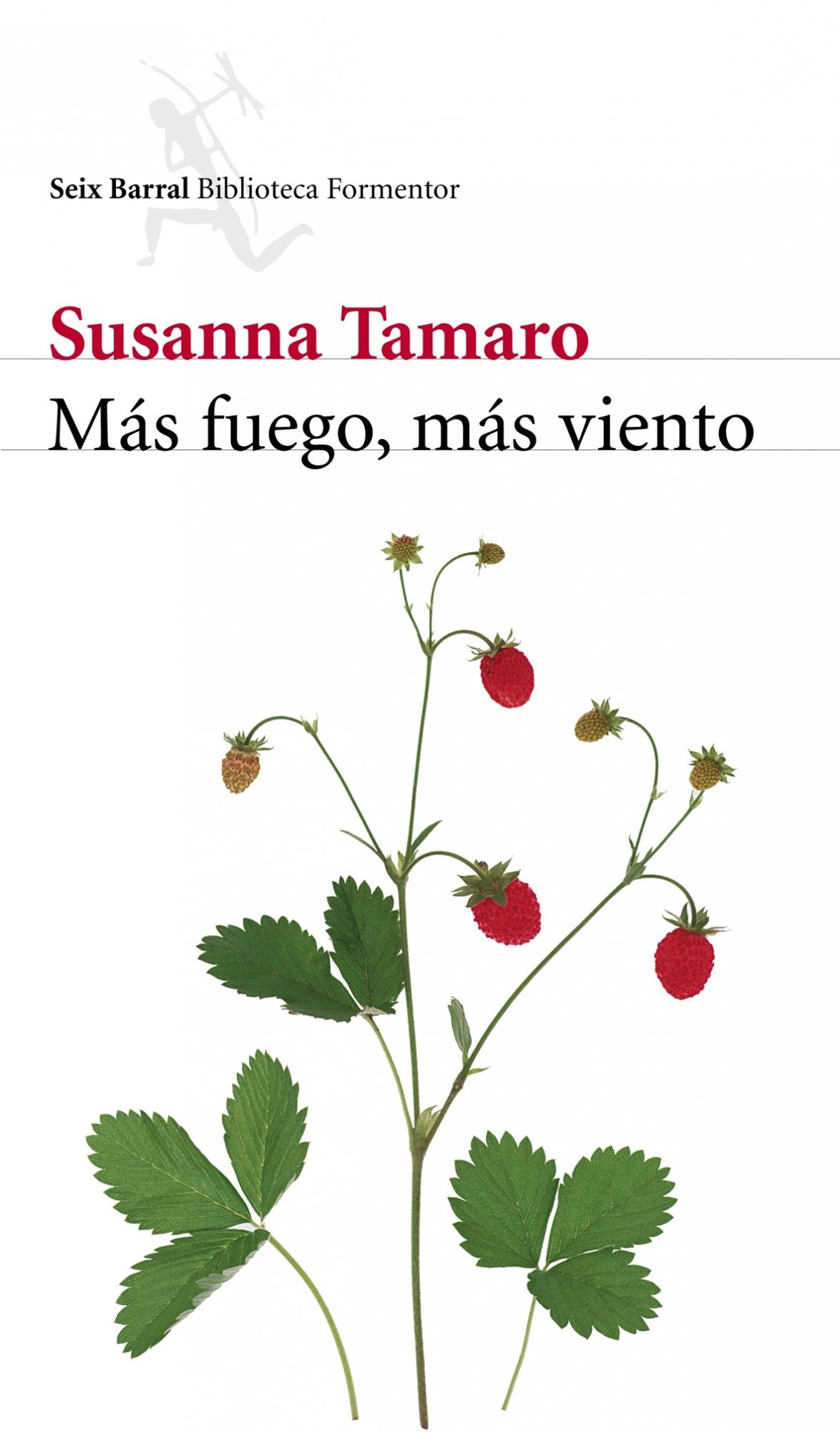 Más fuego, más viento (Biblioteca Formentor) Contemporary literature