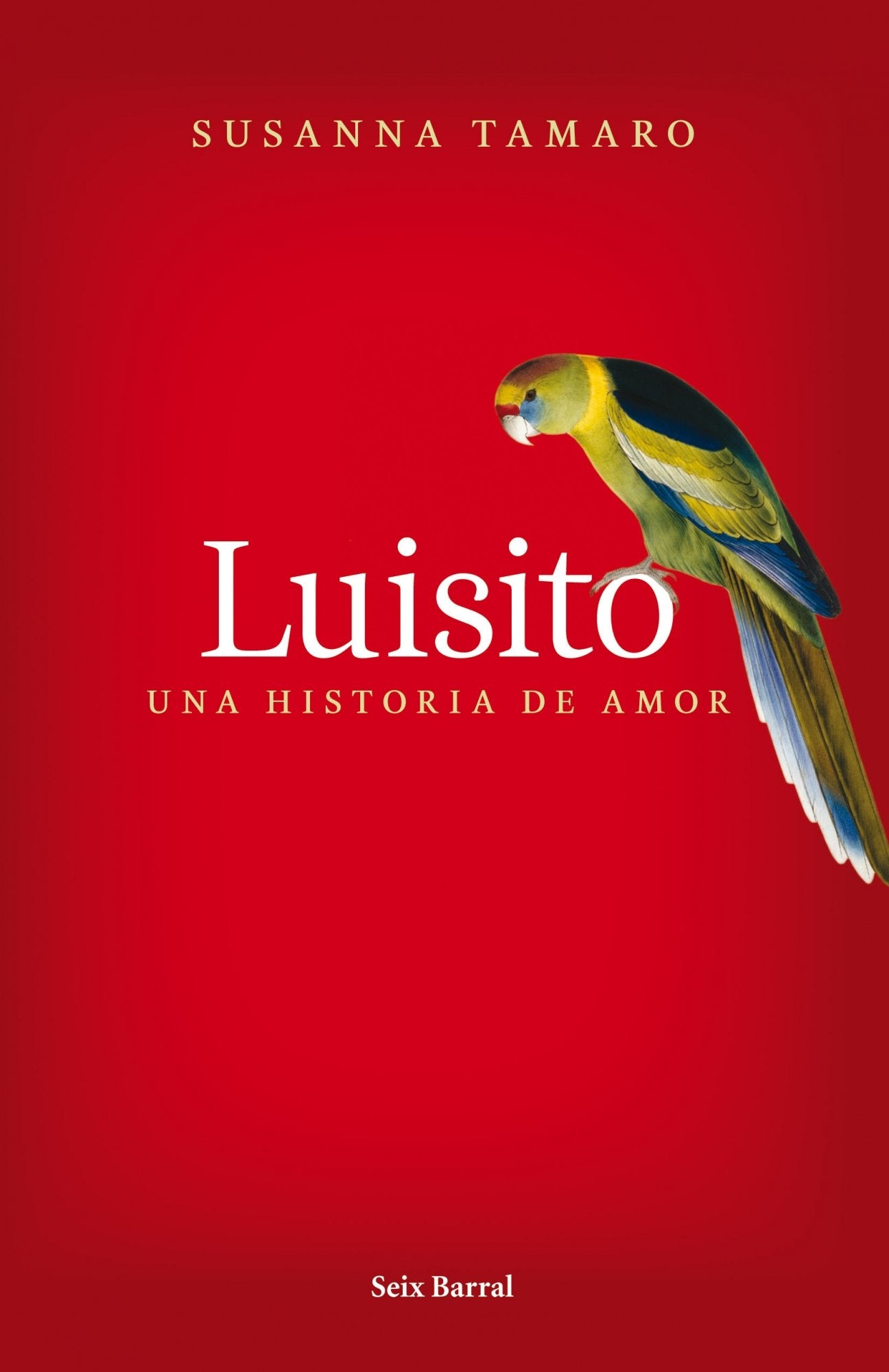 Luisito. Una historia de amor book