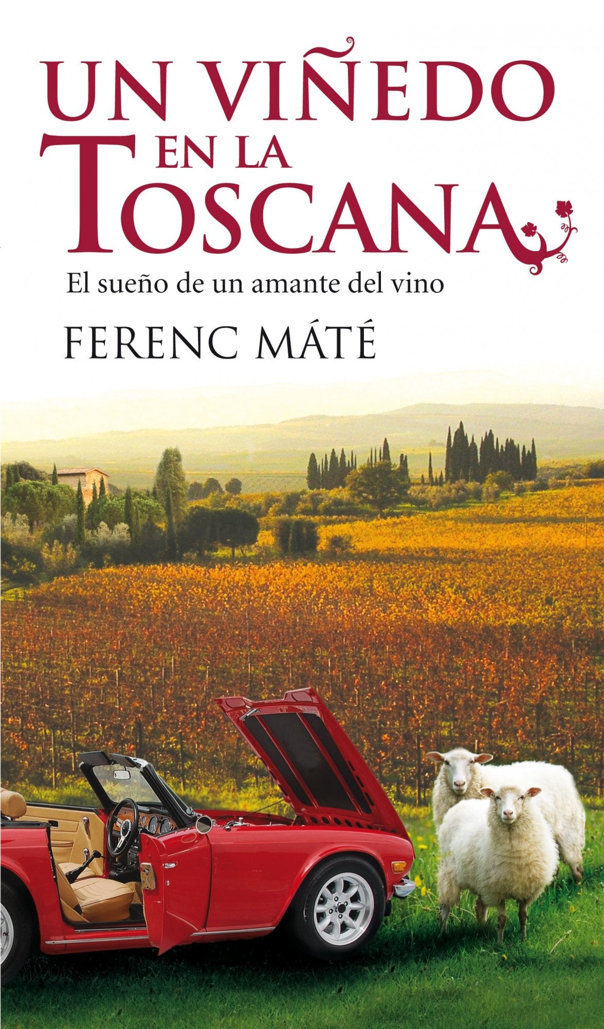 Un viñedo en la Toscana (Biblioteca Abierta) Contemporary literature