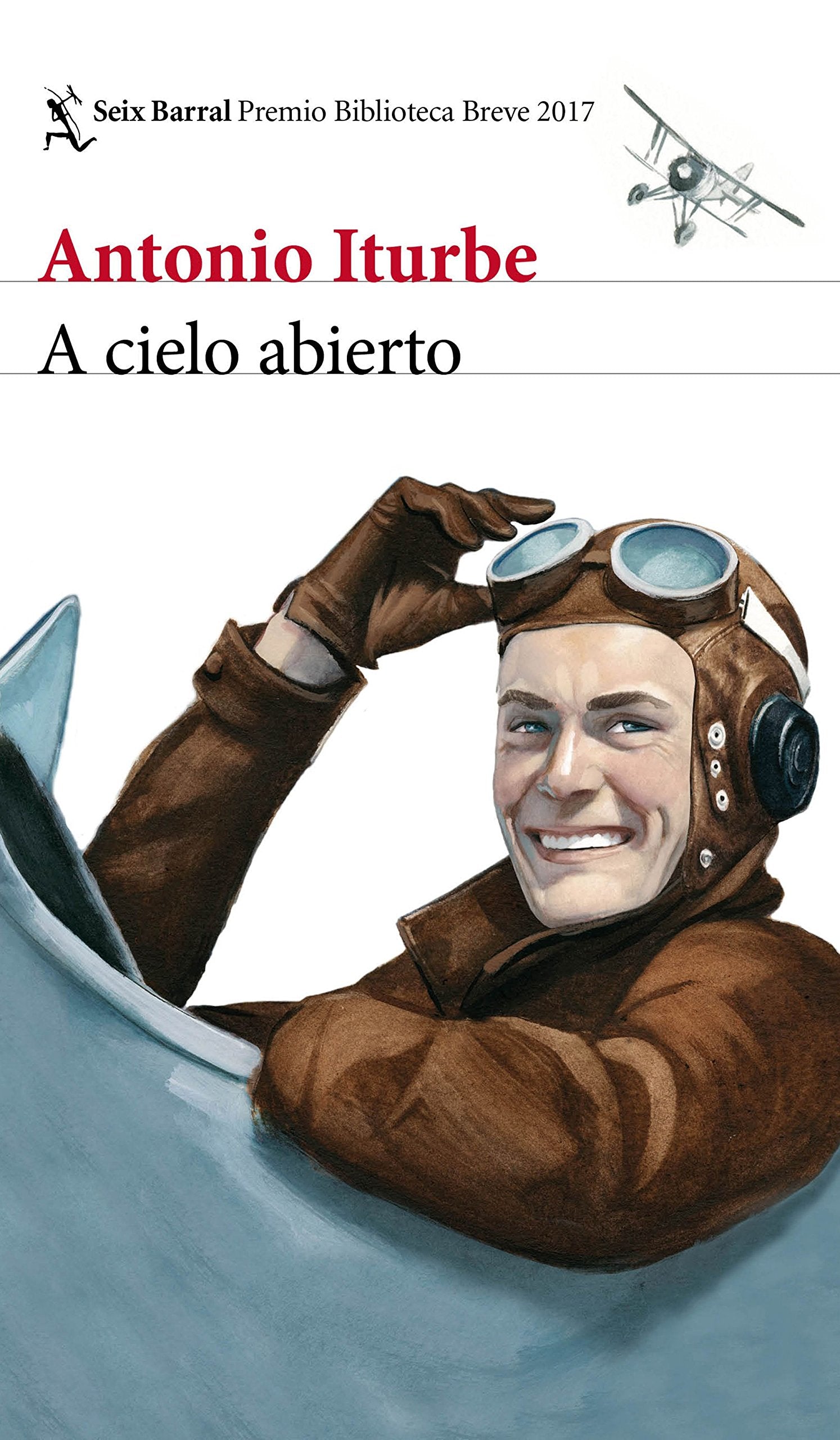 A cielo abierto: Premio Biblioteca Breve 2017 Contemporary literature