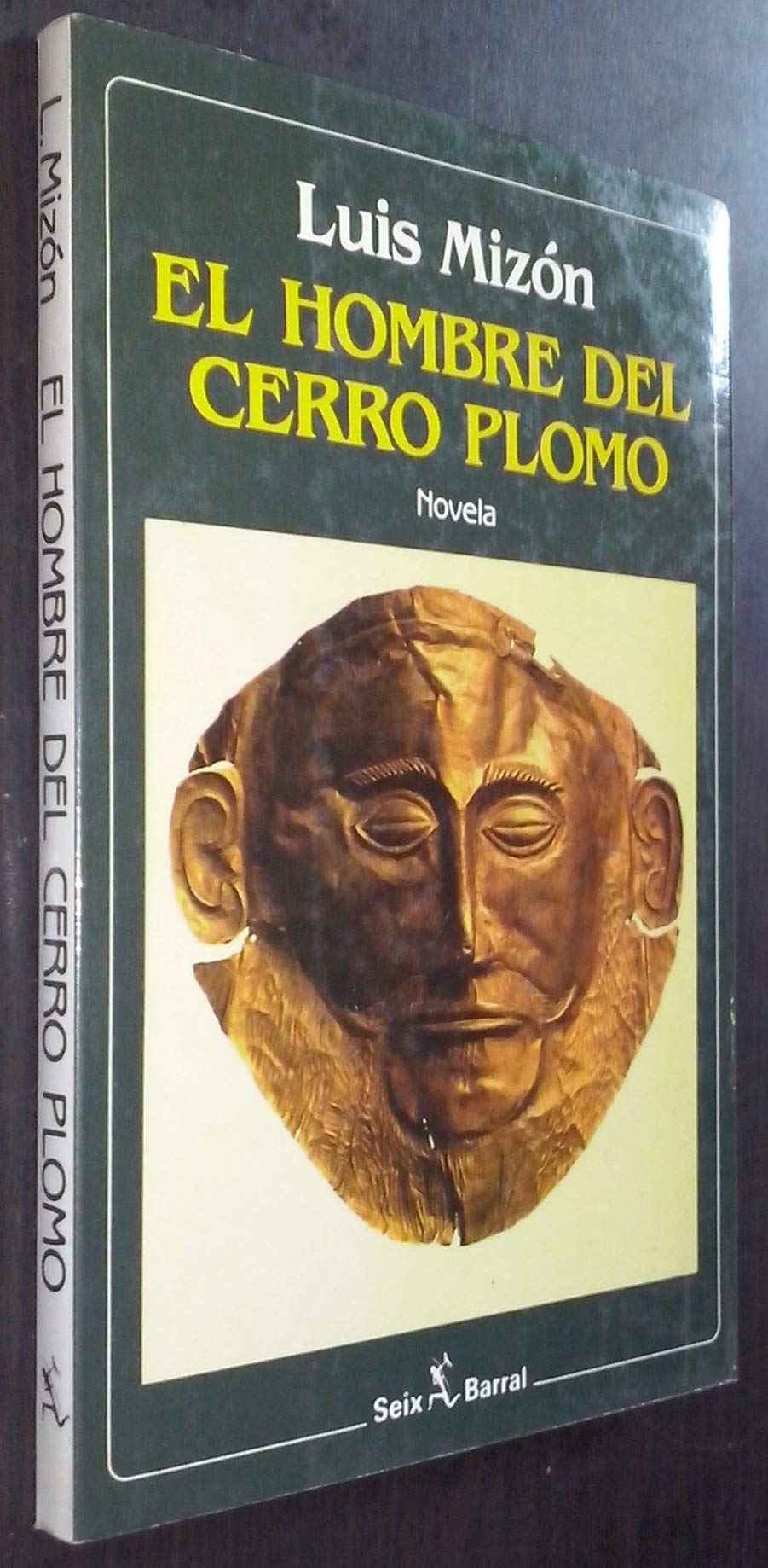 El hombre del cerro plomo book
