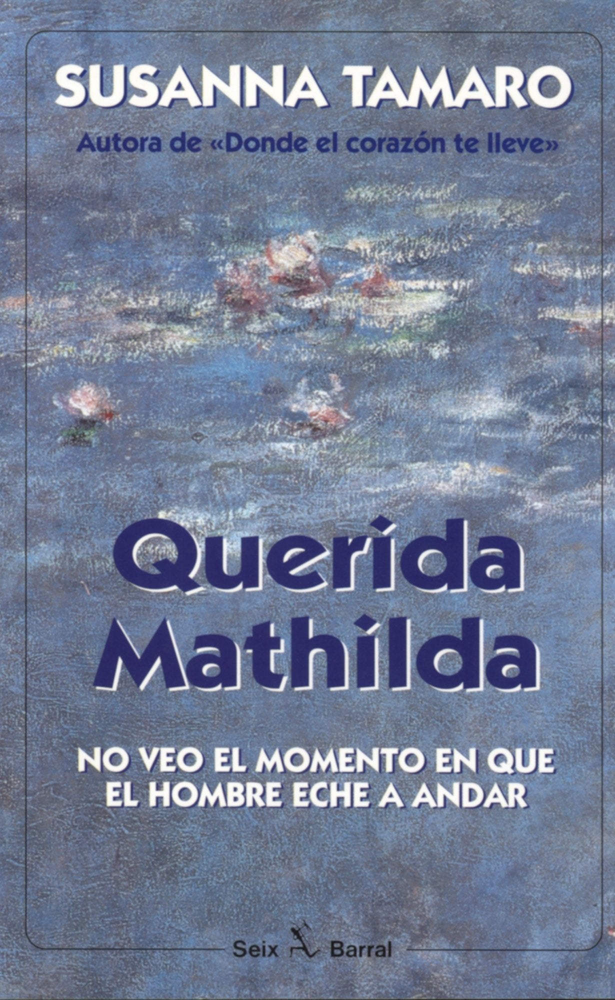 Querida Mathilda : no veo el momento en que el hombre eche a andar (Seix Barral) Contemporary literature