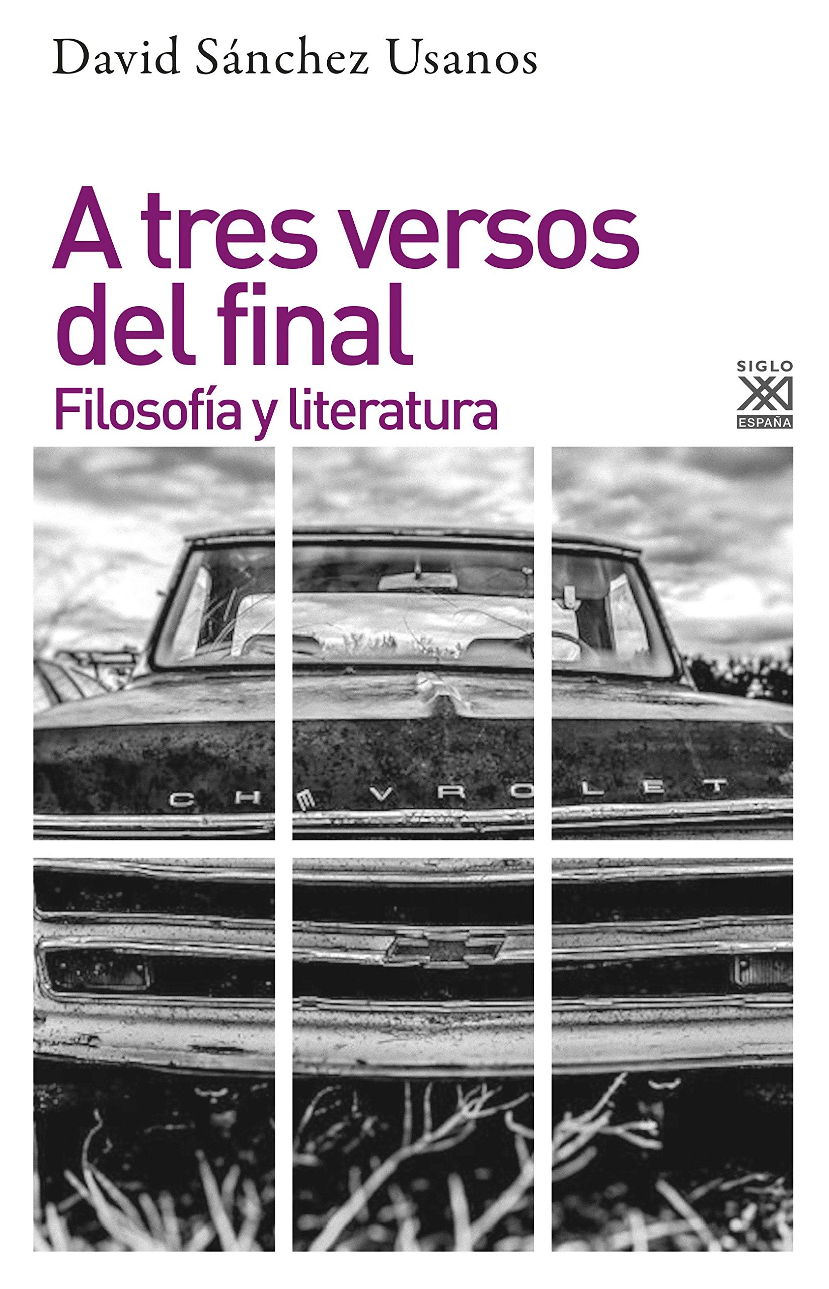 A tres versos del final: Filosofía y literatura book