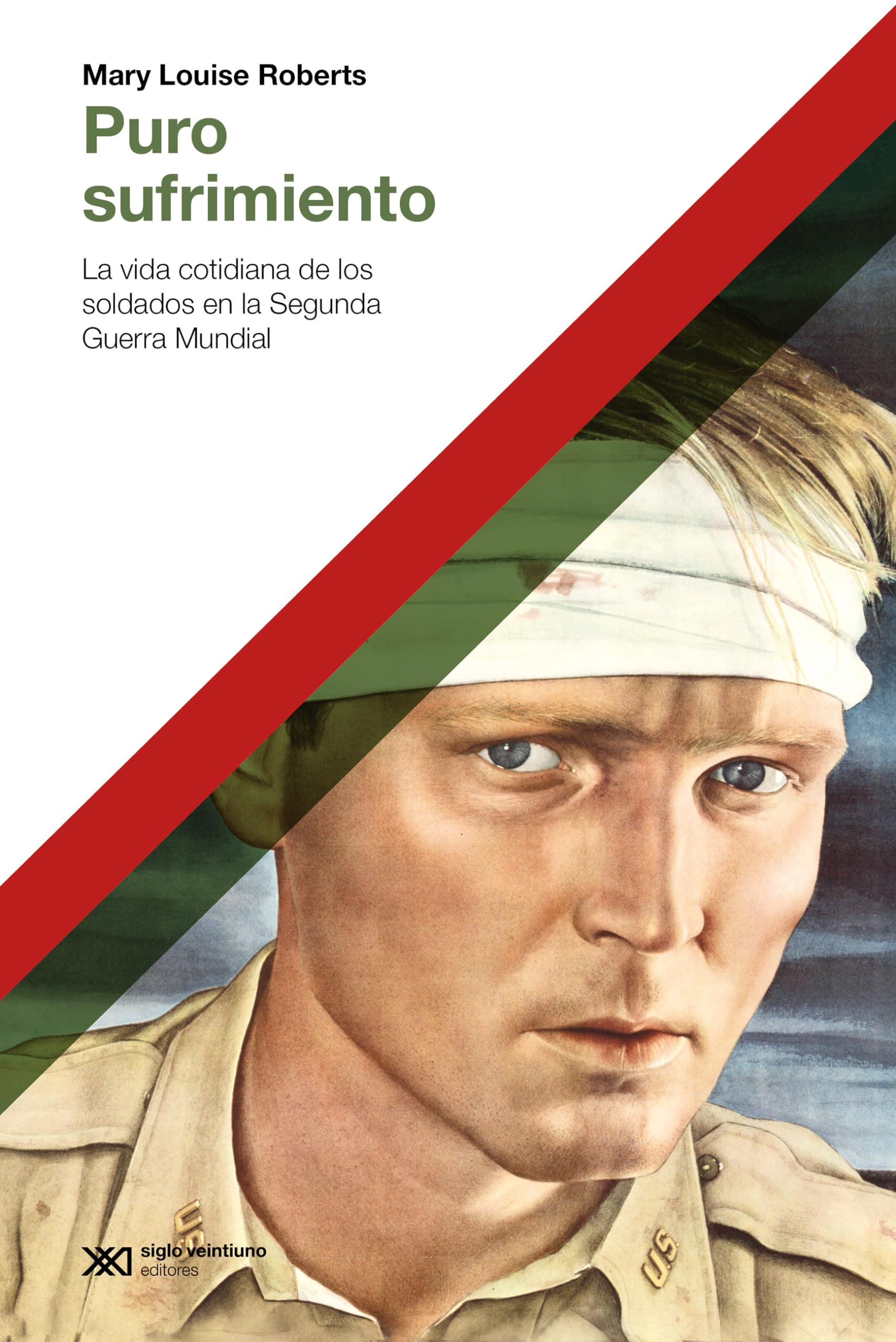 PURO SUFRIMIENTO: LA VIDA COTIDIANA DE LOS SOLDADOS EN LA SEGUNDA GUERRA MUNDIAL book