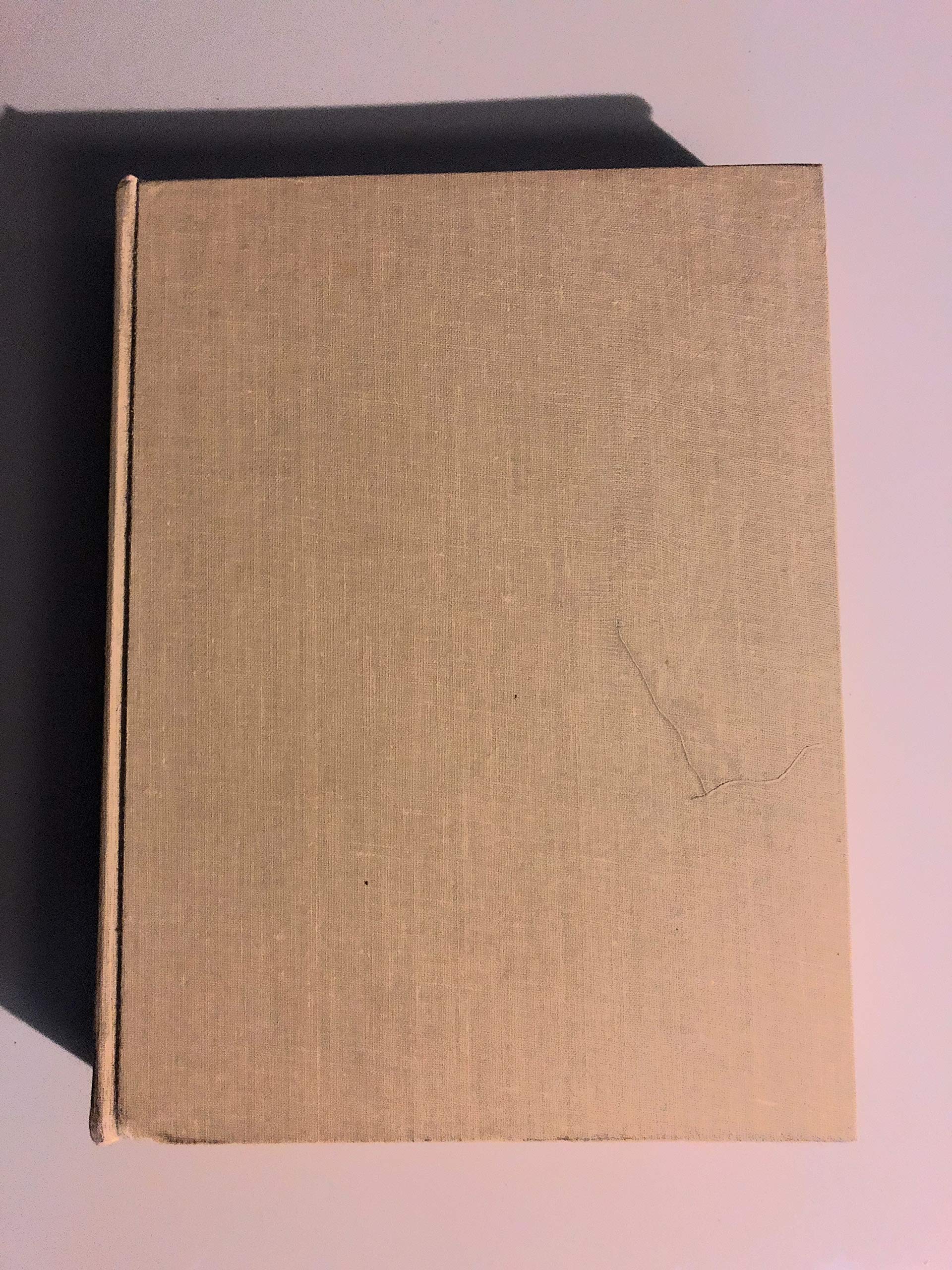 Las piedras vivas: Escultura y sociedad en Mexico book