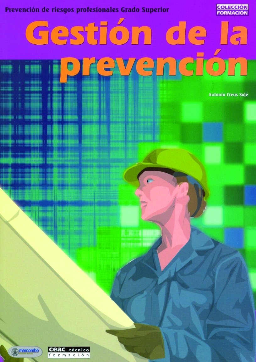 Gestión de la prevención: Prevención de riesgos profesionales Grado Superior (Formación) Tiptoi & Games