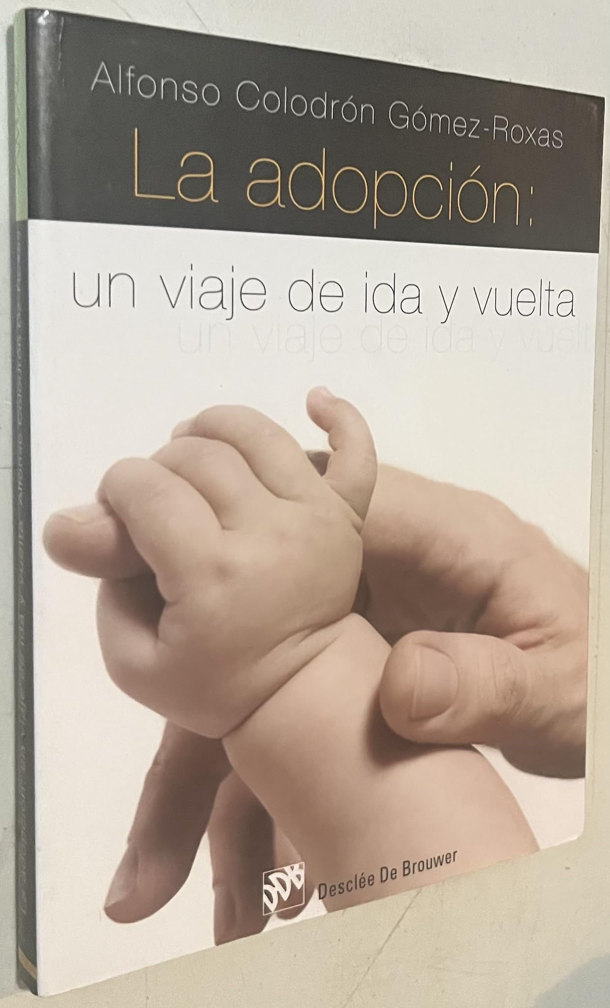 La adopción : un viaje de ida y vuelta Study Guides