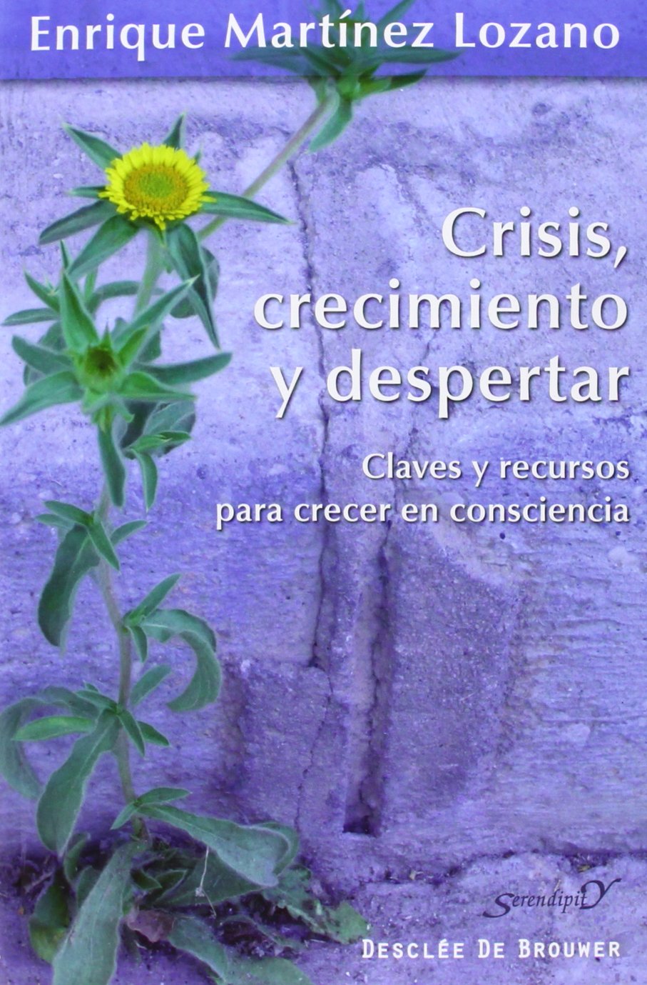 Crisis, crecimiento y despertar : claves y recursos para crecer en consciencia (Serendipity, Band 174) Religion & Esotericism