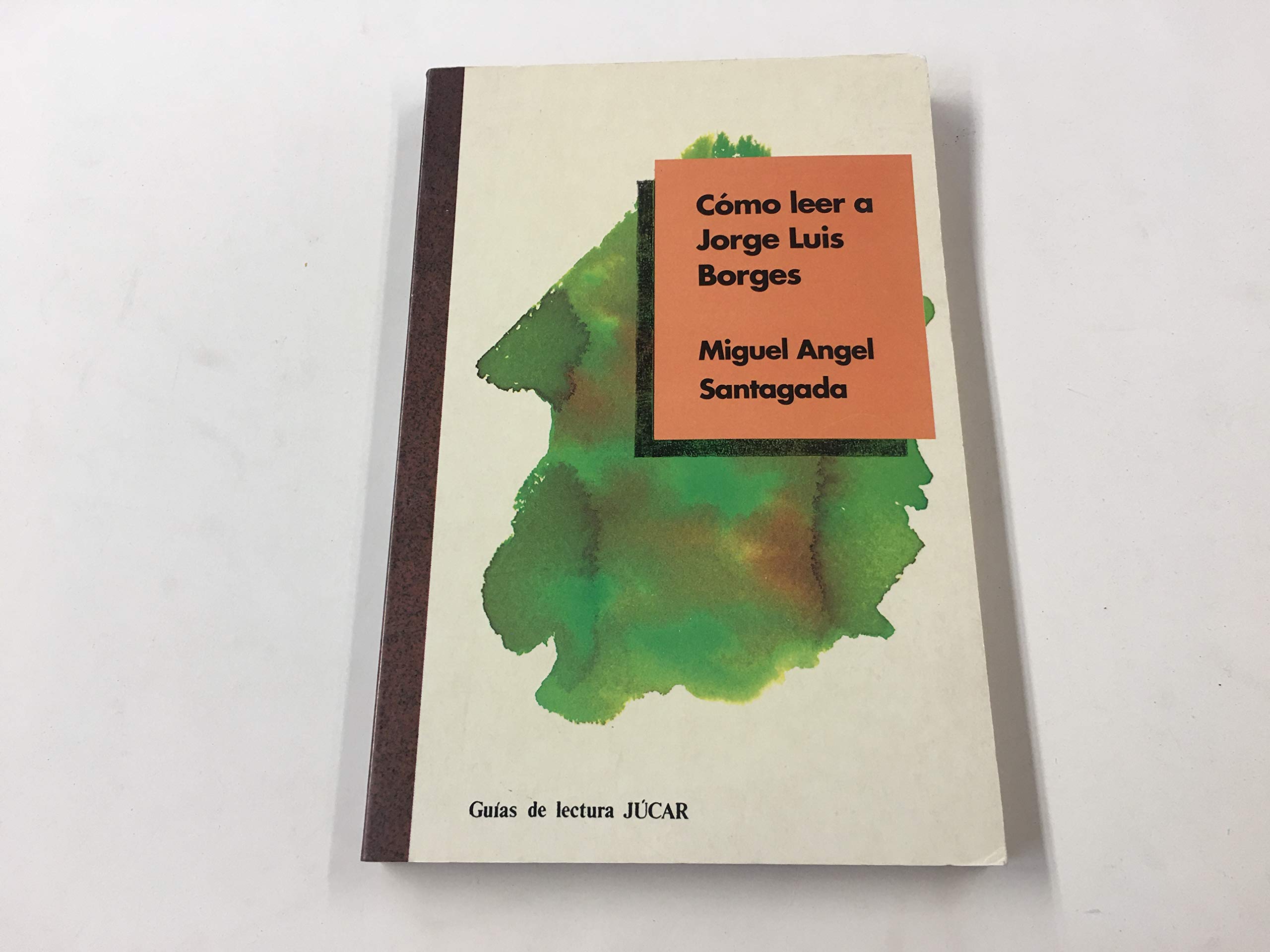 Como leer a Jorge Luis borges Books
