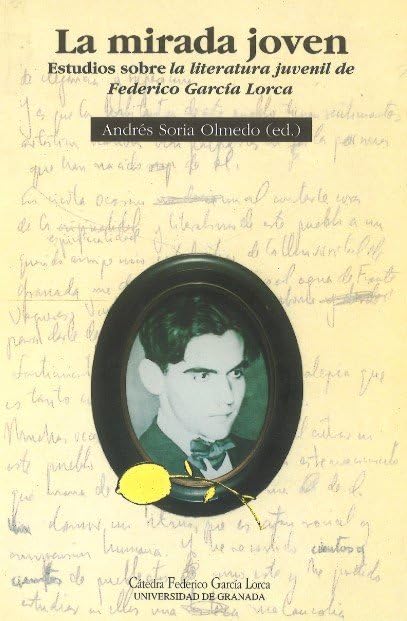 La mirada joven: estudios sobre literatura juvenil de Federico García Lorca book