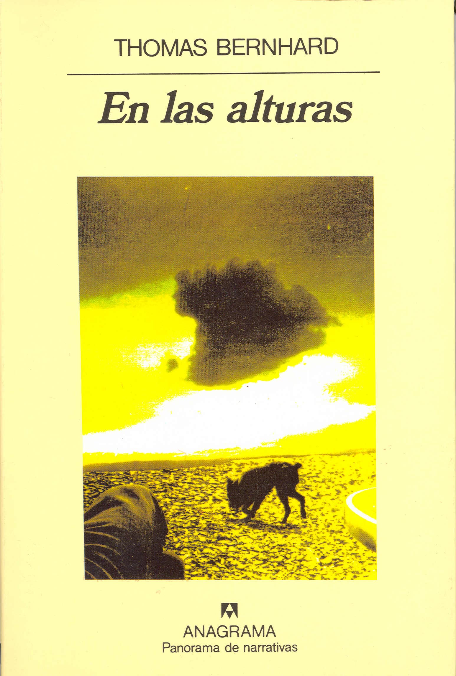 En las alturas (Panorama de narrativas, Band 249) Contemporary literature