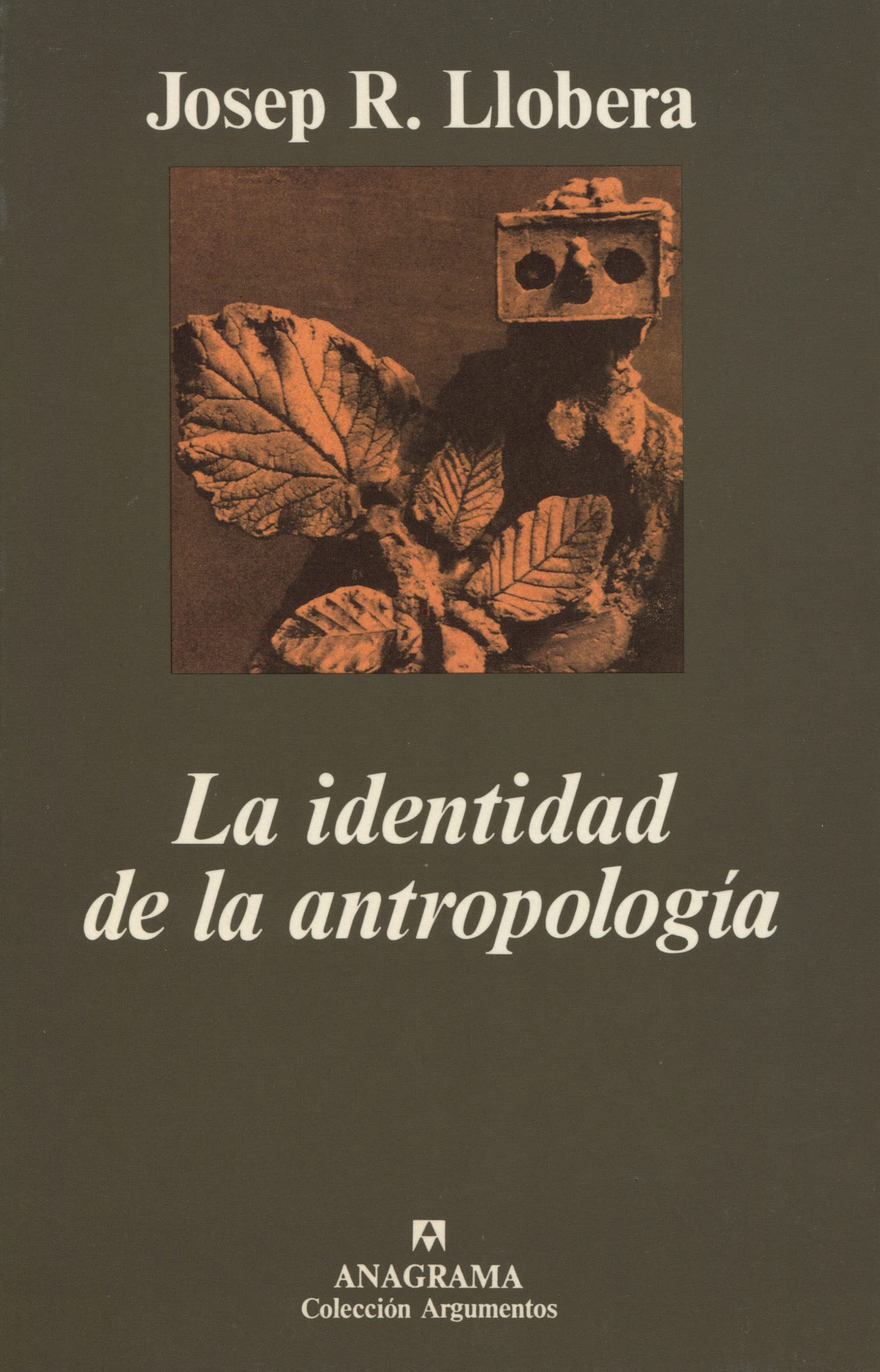 La identidad de la antropología book