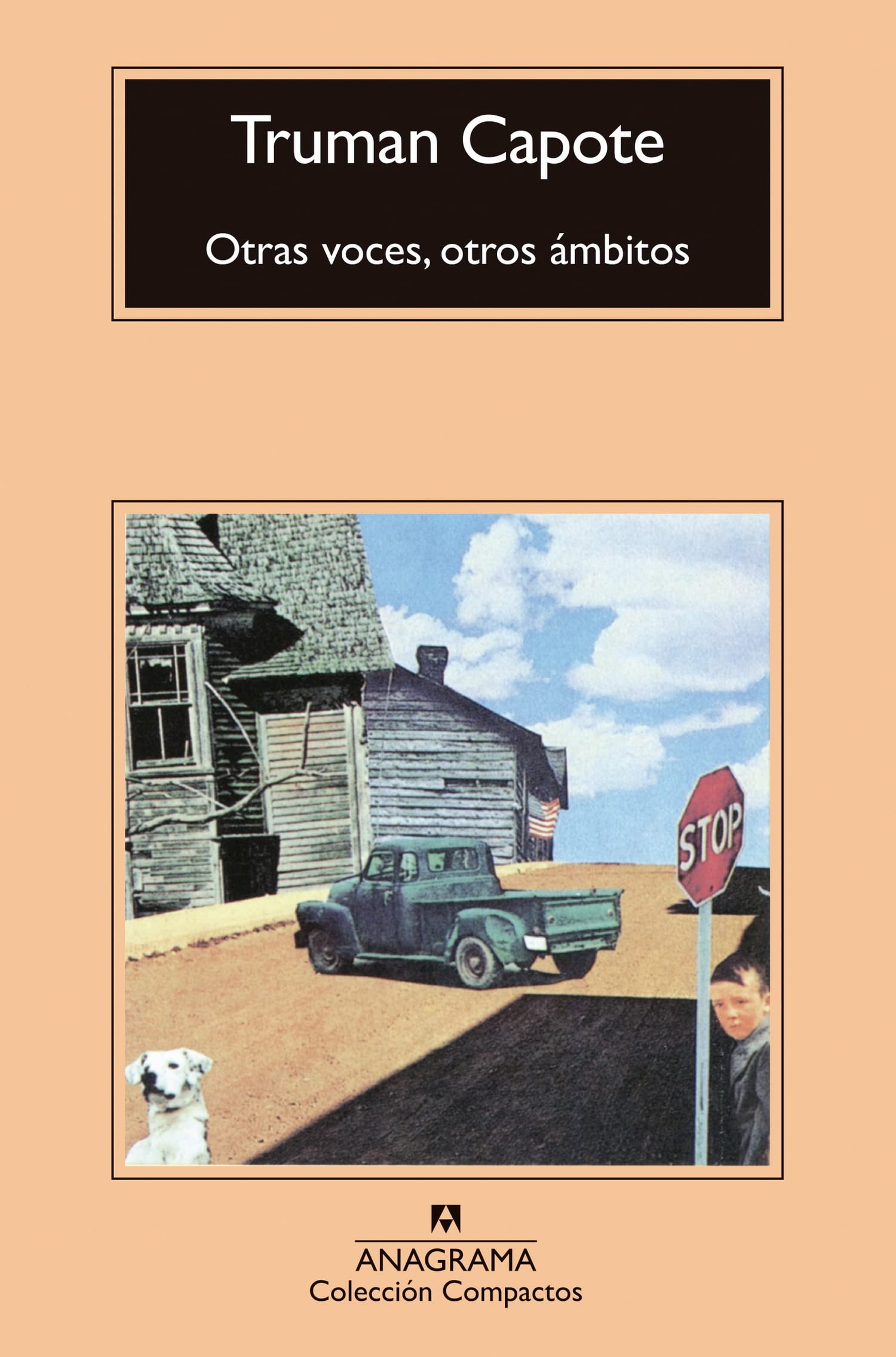 Otras voces, otros ámbitos book