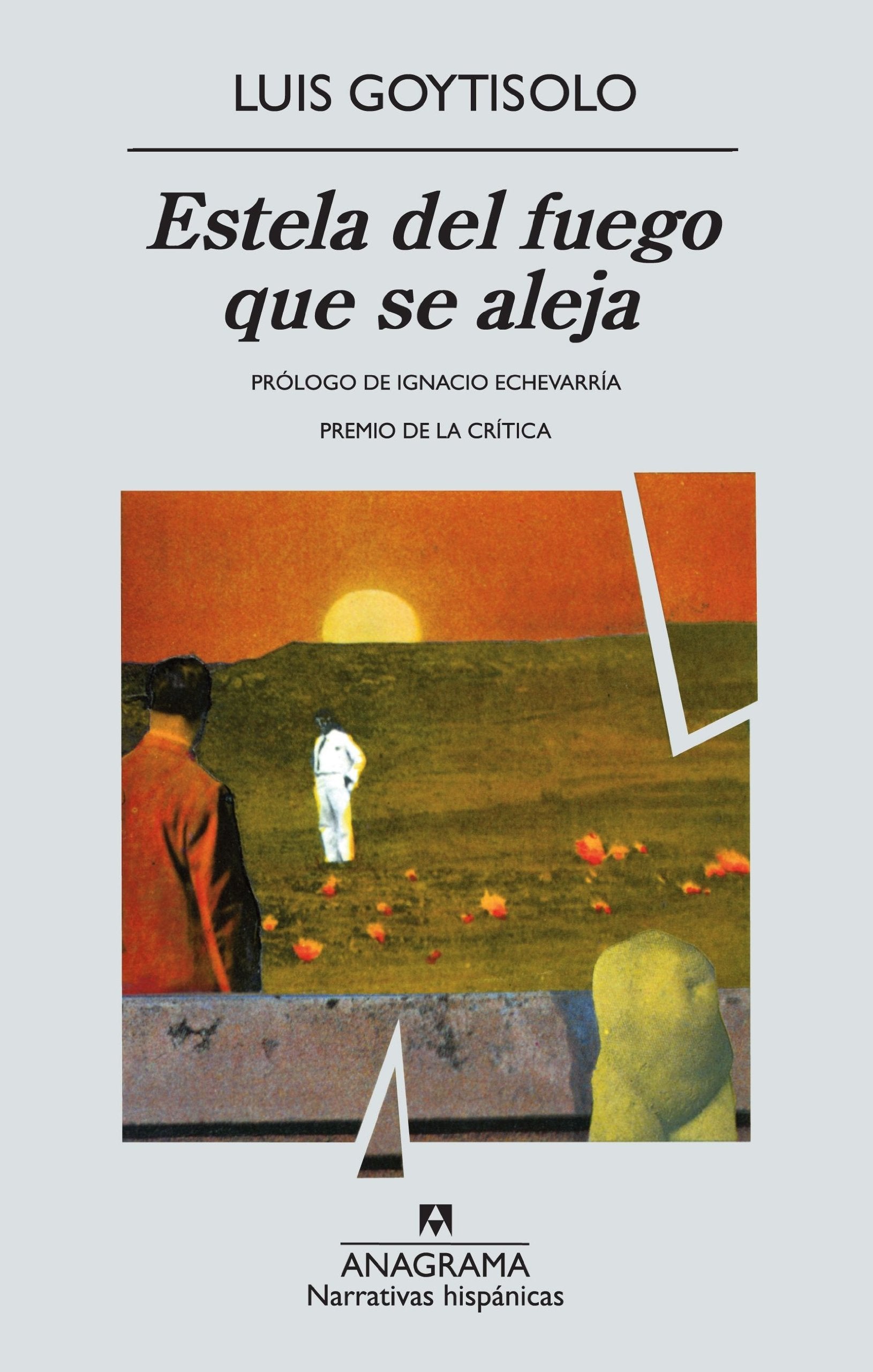 Estela Del Fuego Que Se Aleja/Wake of the Moving Fire book