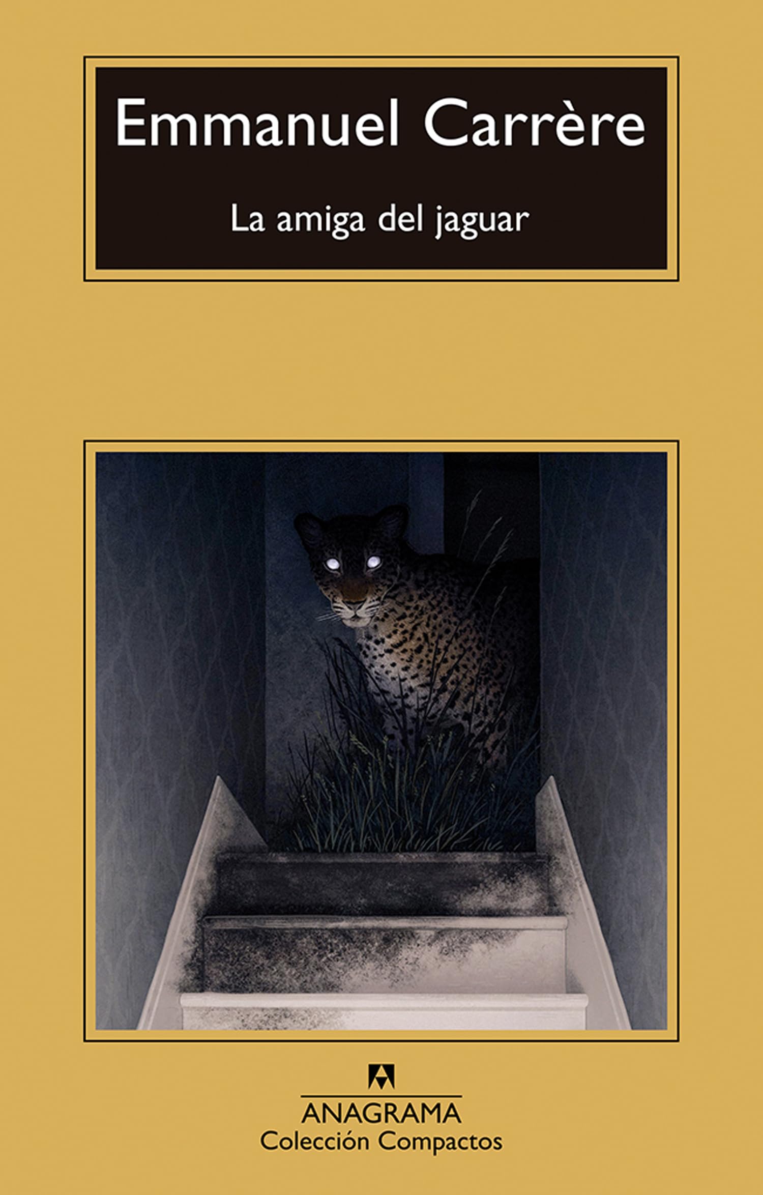 La amiga del jaguar/ The Friend of the Jaguar book