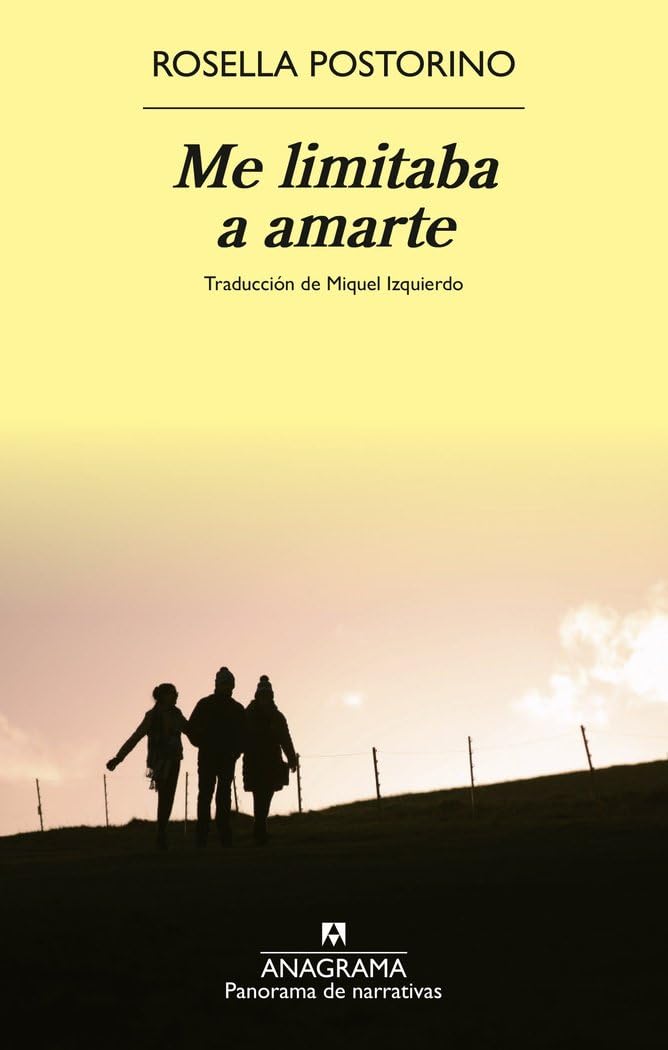 Me limitaba a amarte (Panorama de narrativas) Contemporary literature
