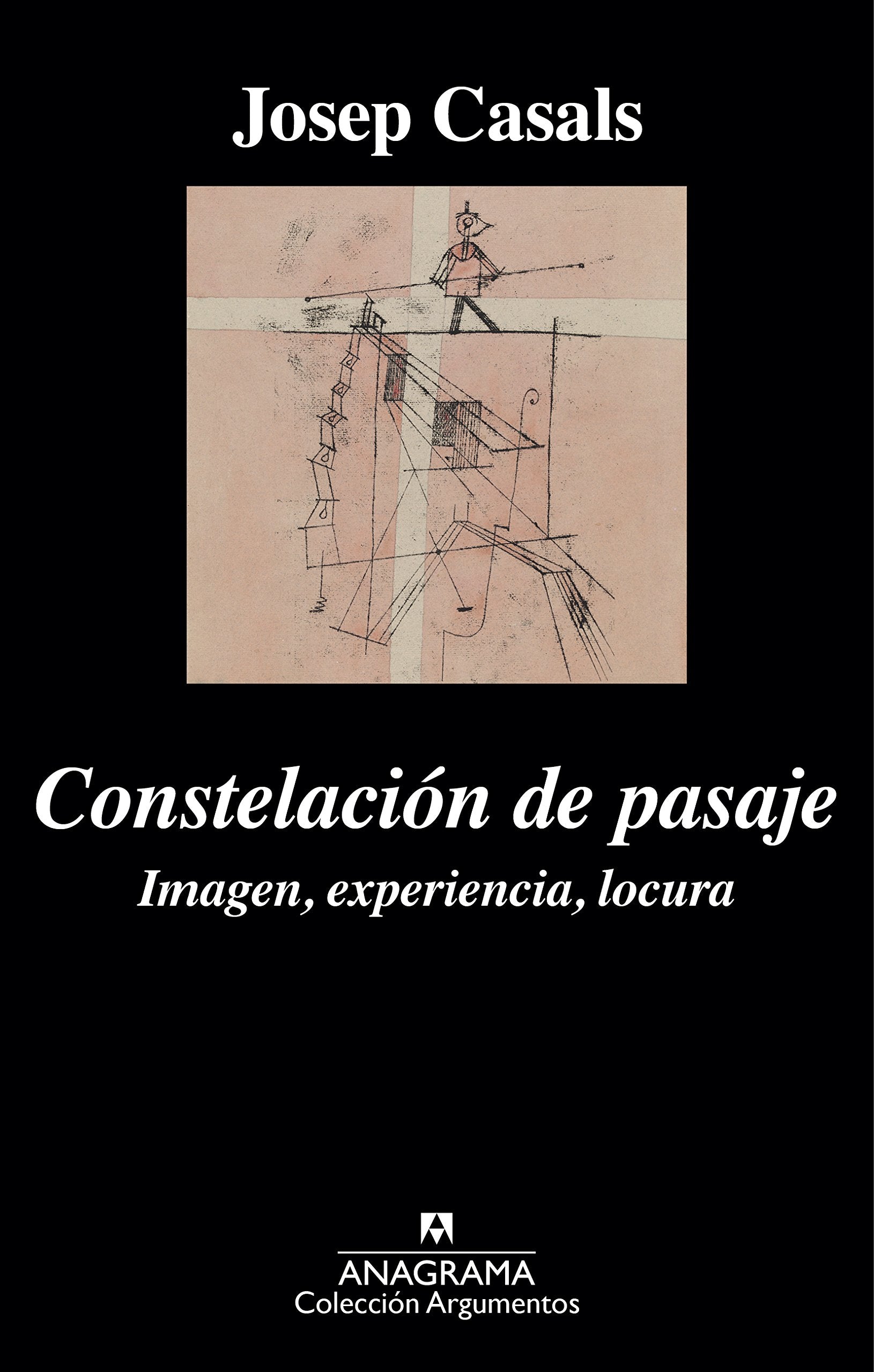 Constelaciaon de Pasaje: Imagen, Experiencia, Locura book