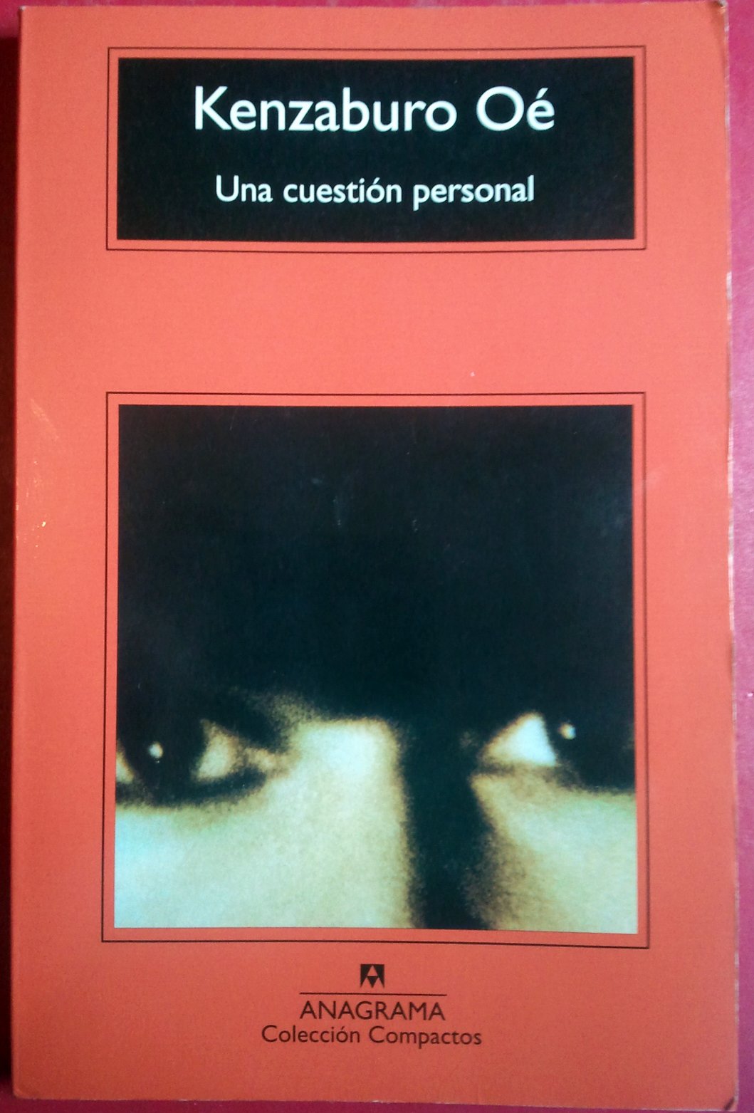 Una cuestion personal / A Personal Matter book