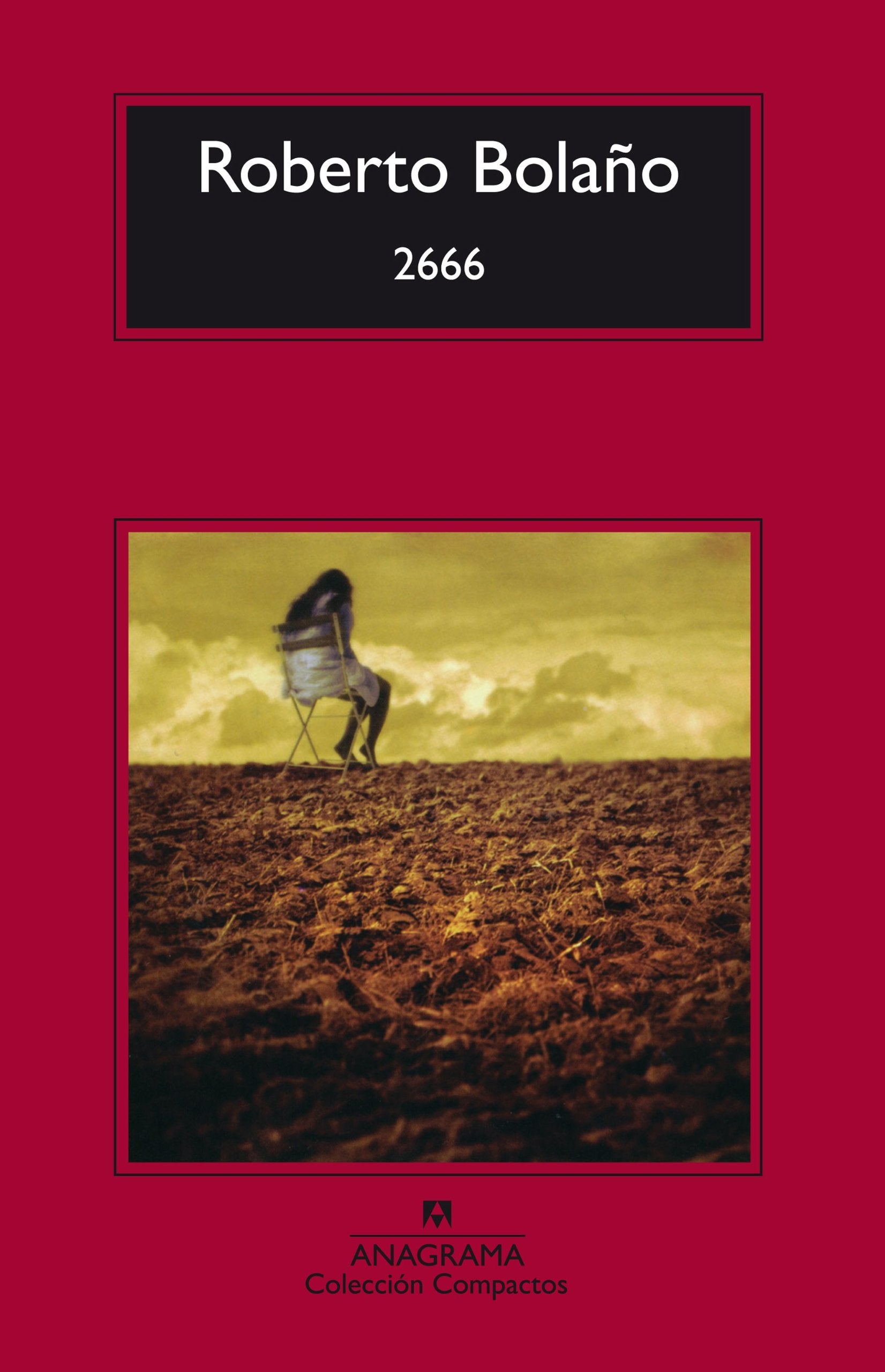 2666 Contemporary literature Books